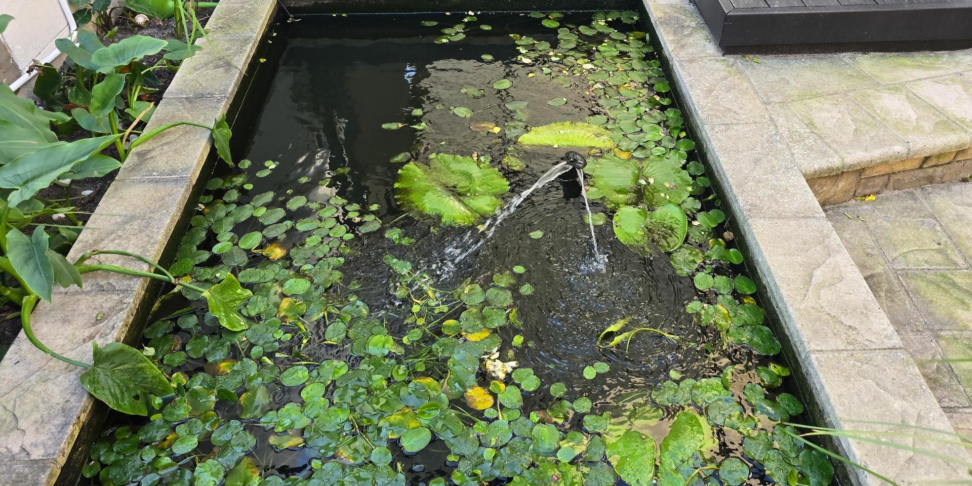 Image 4 of 6