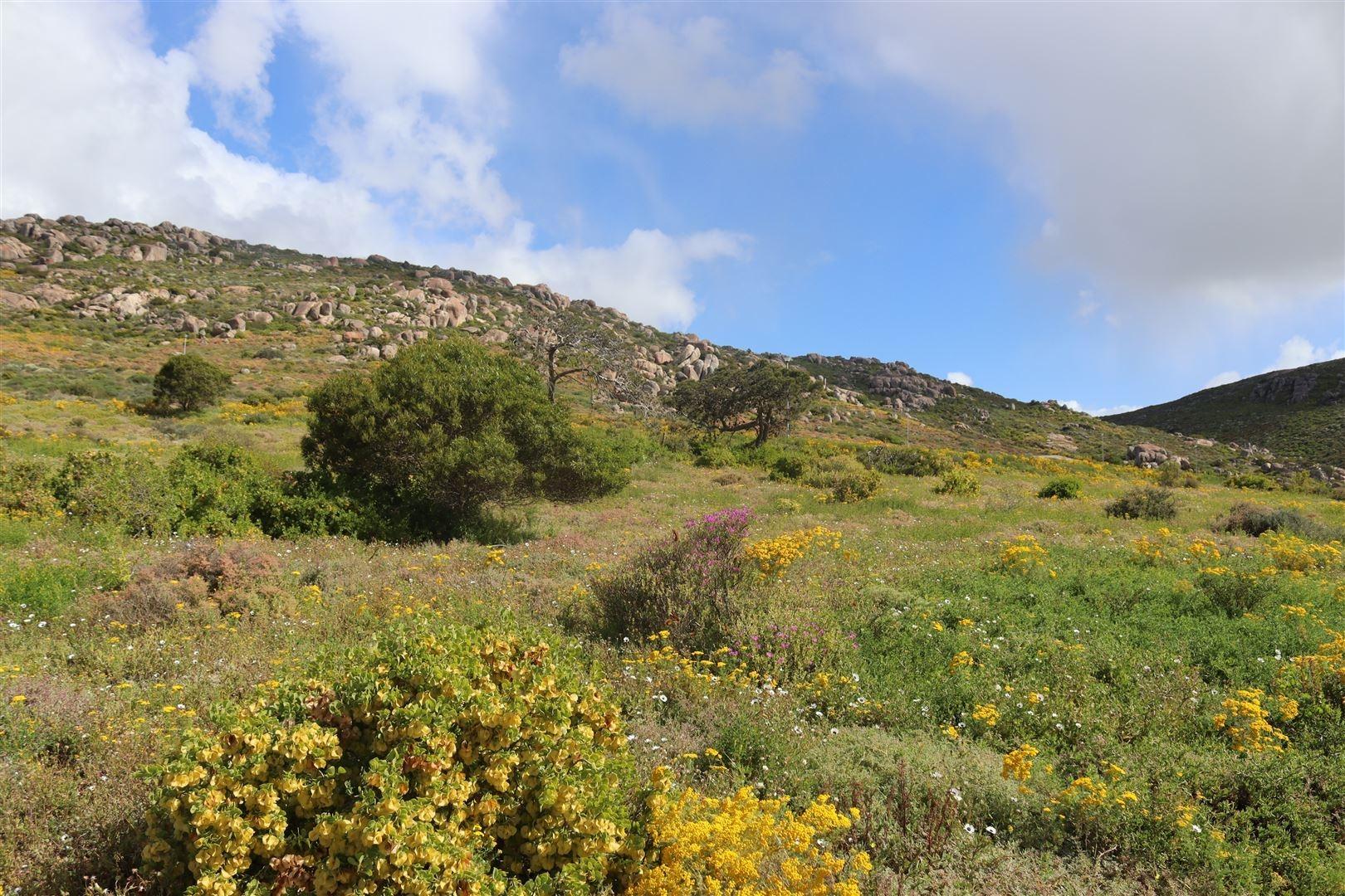 Image 18