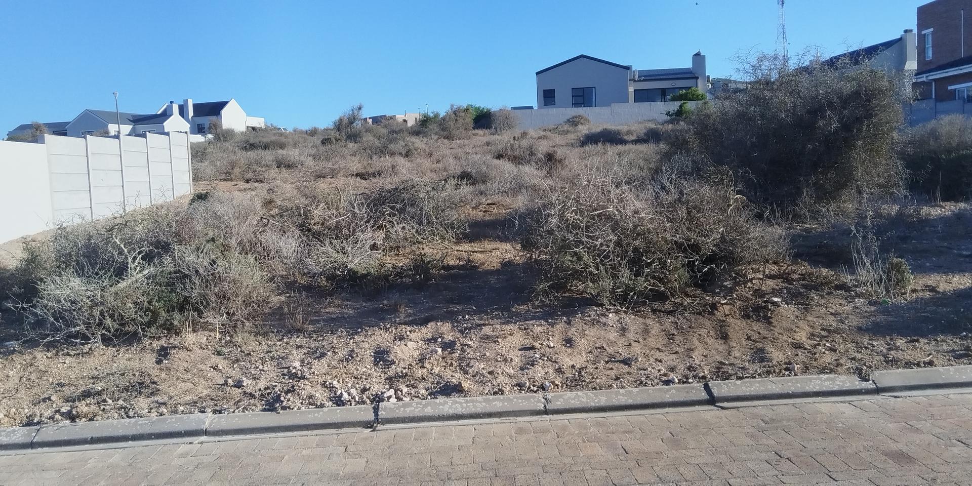 Image 4 of 6