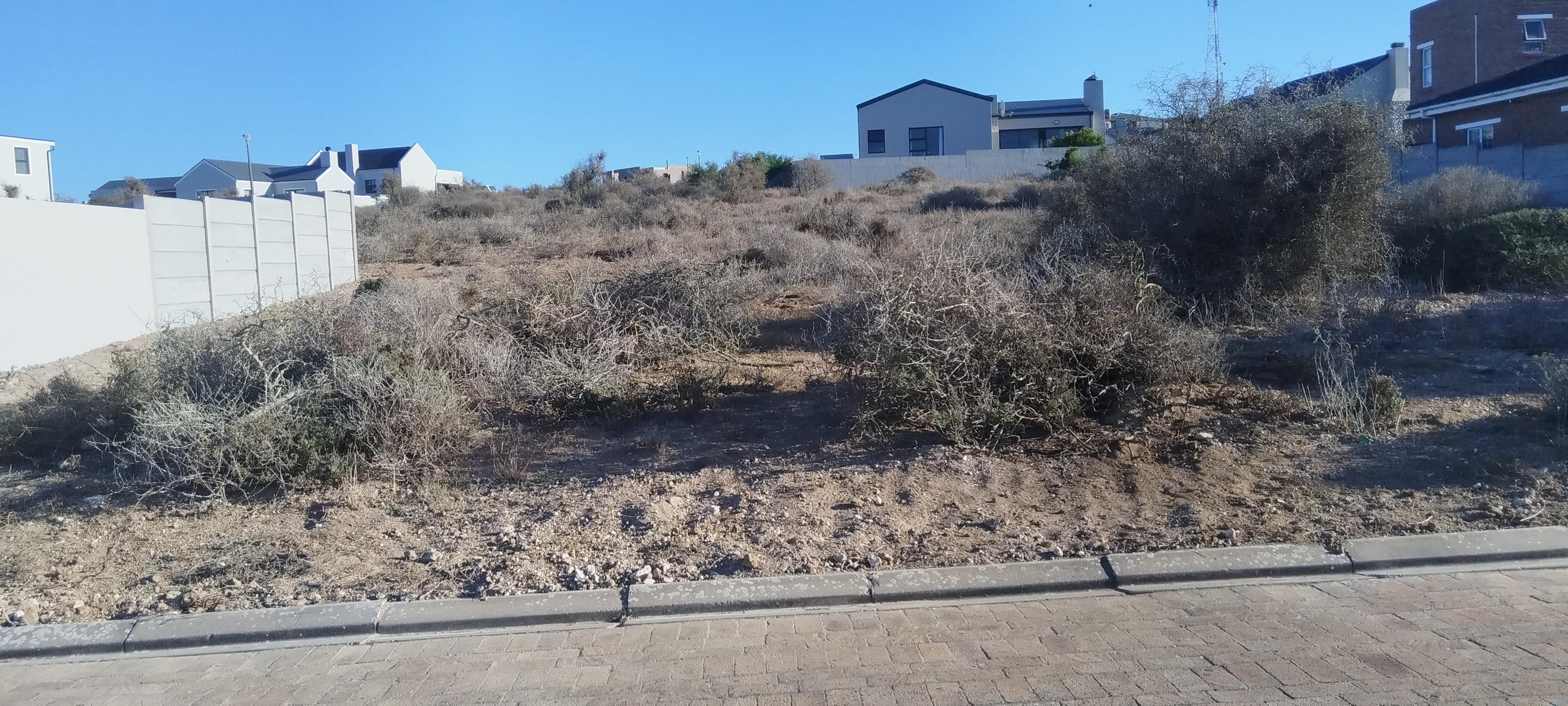 Image 4 of 6