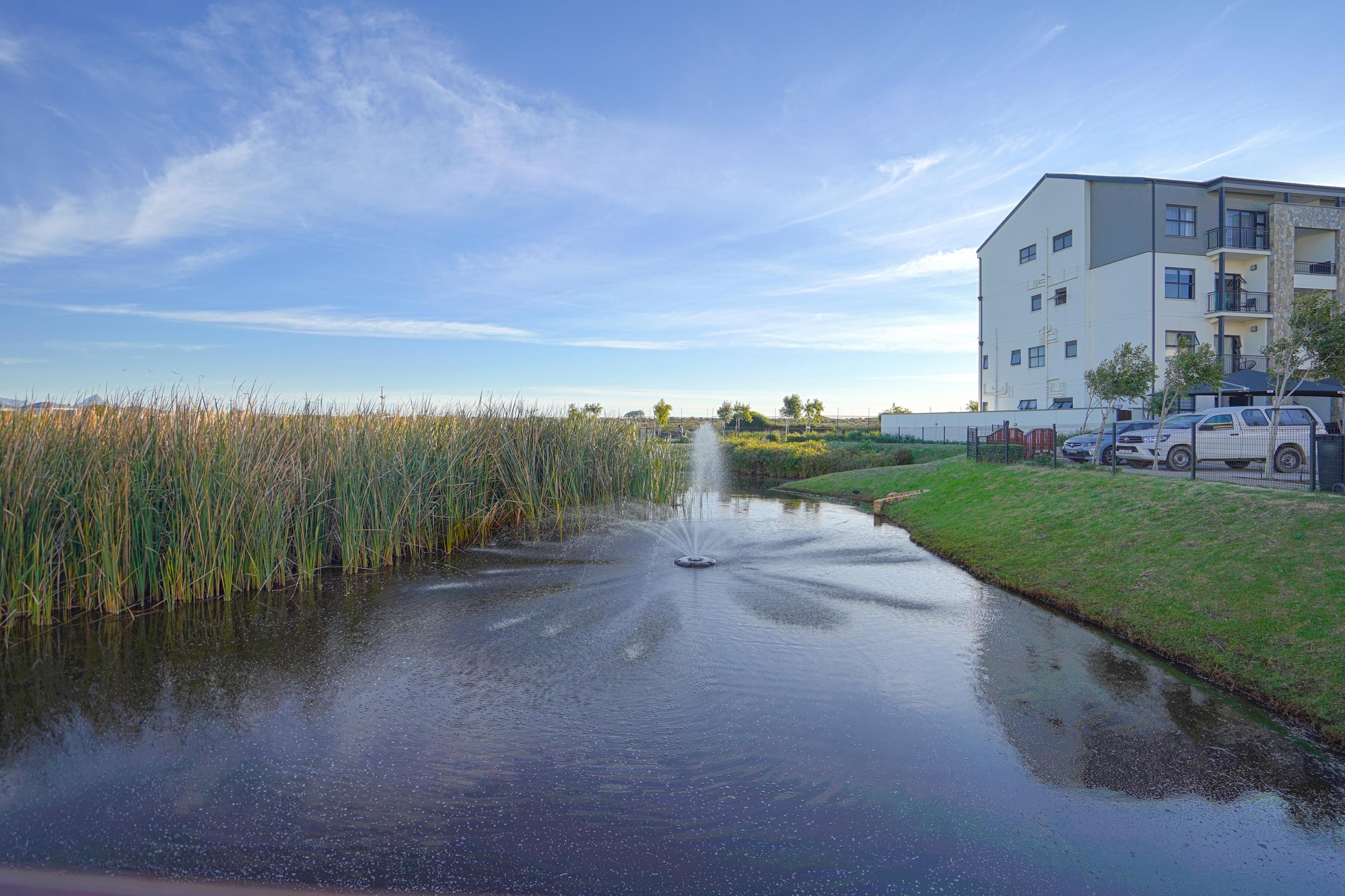 Image 25