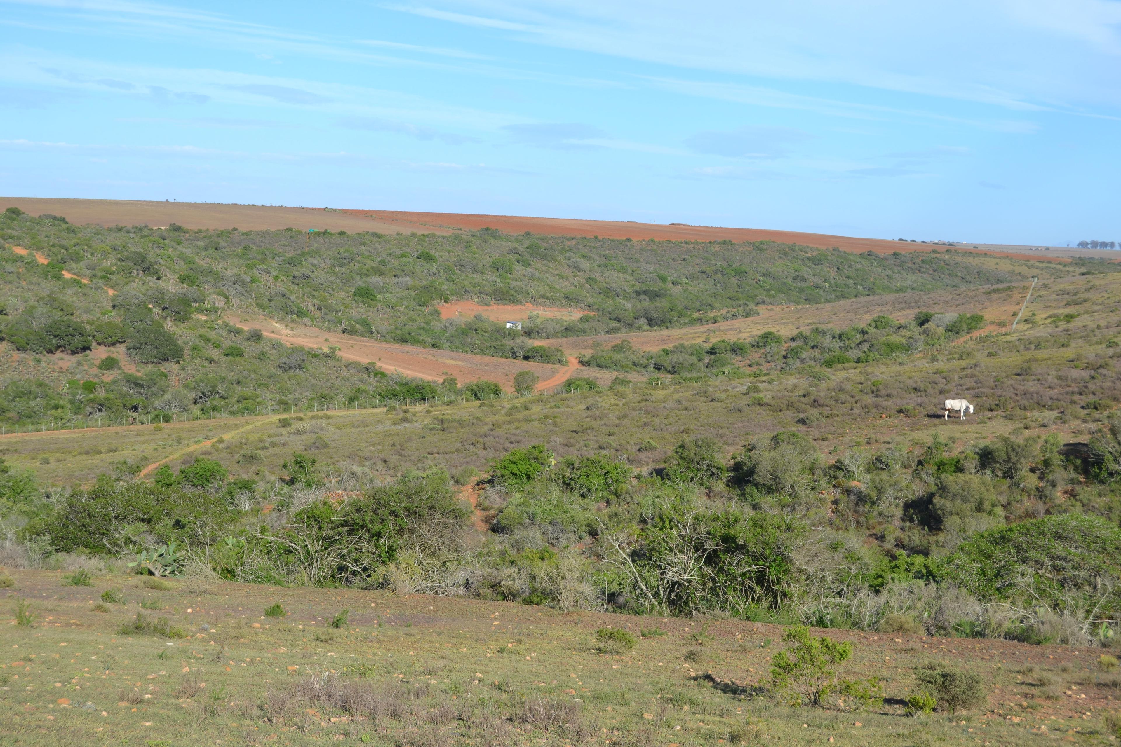 Image 57
