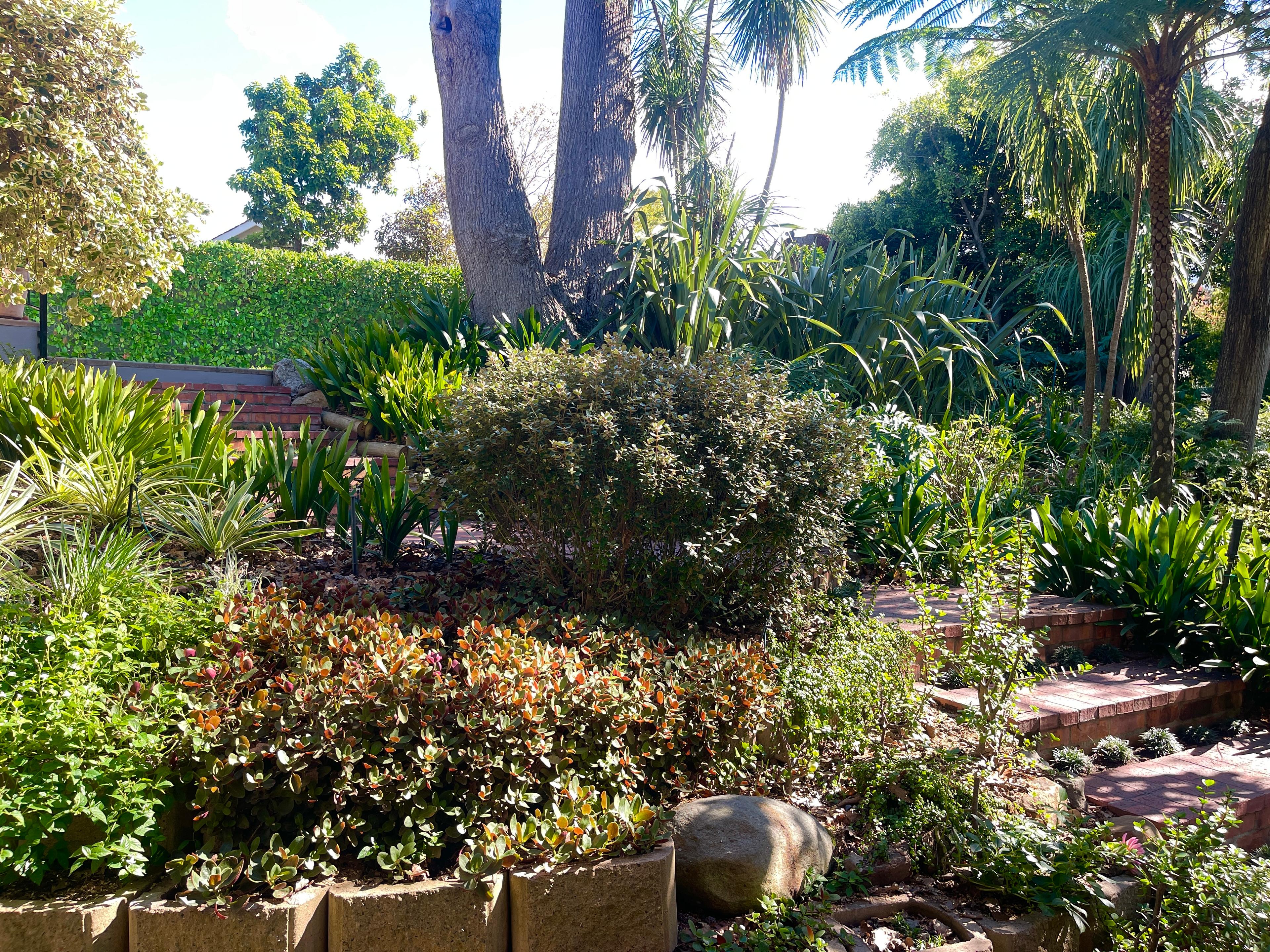 Image 36