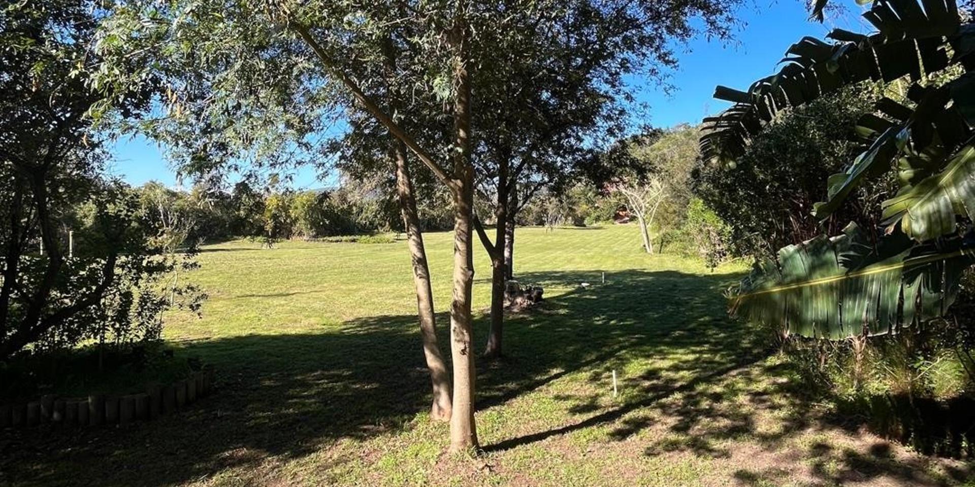 Image 3 of 6