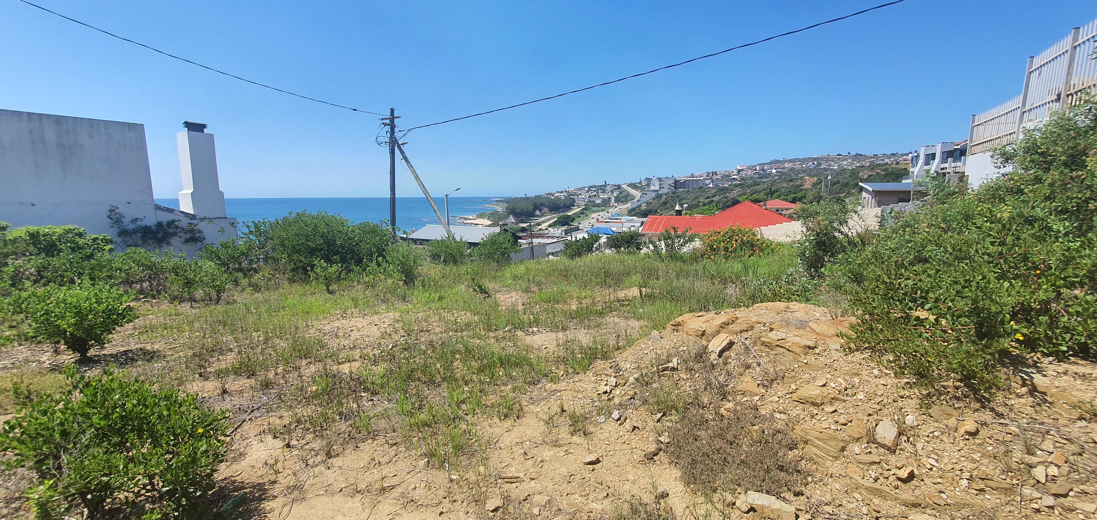 Image 5 of 6