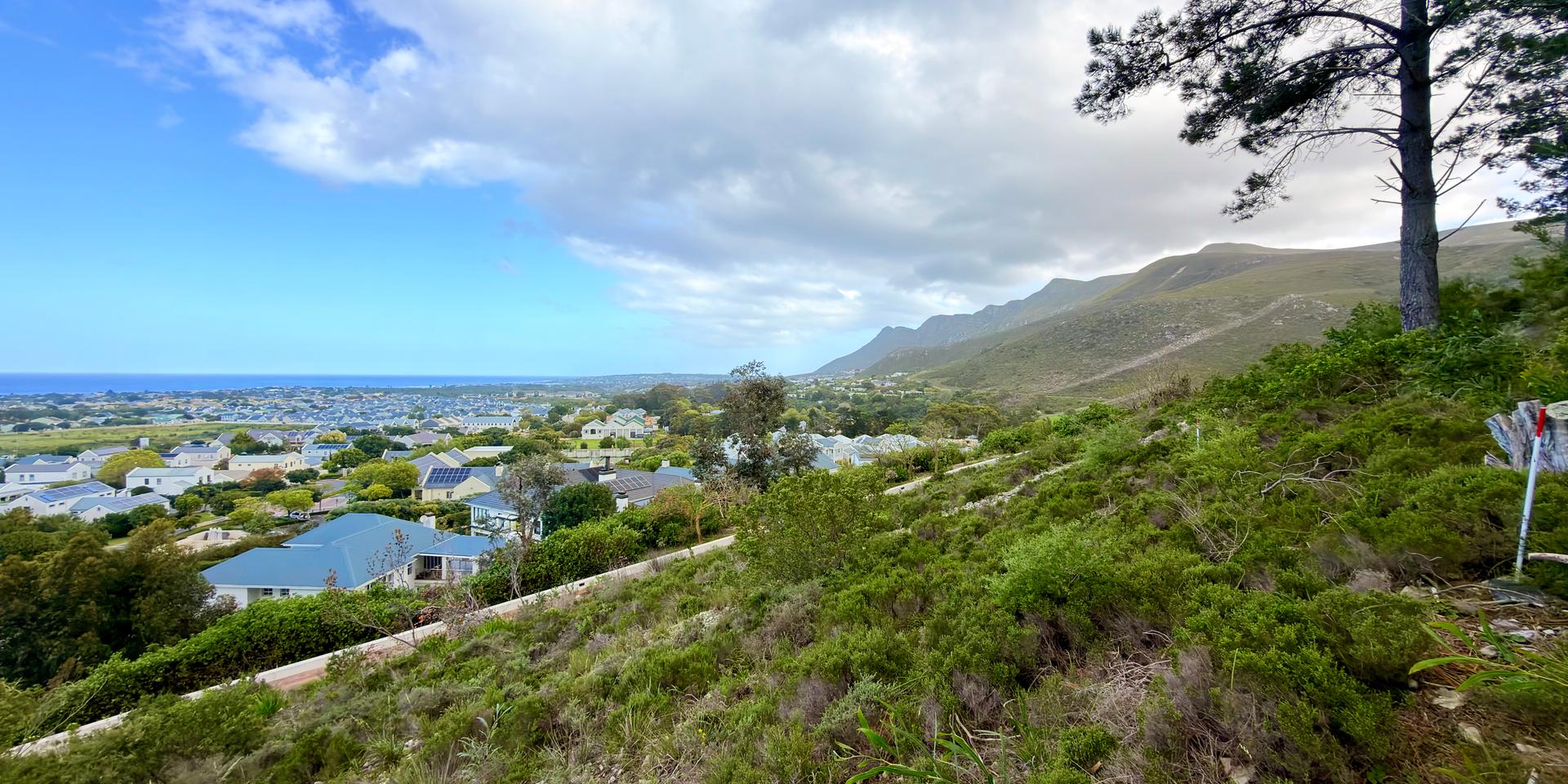 Image 2 of 6