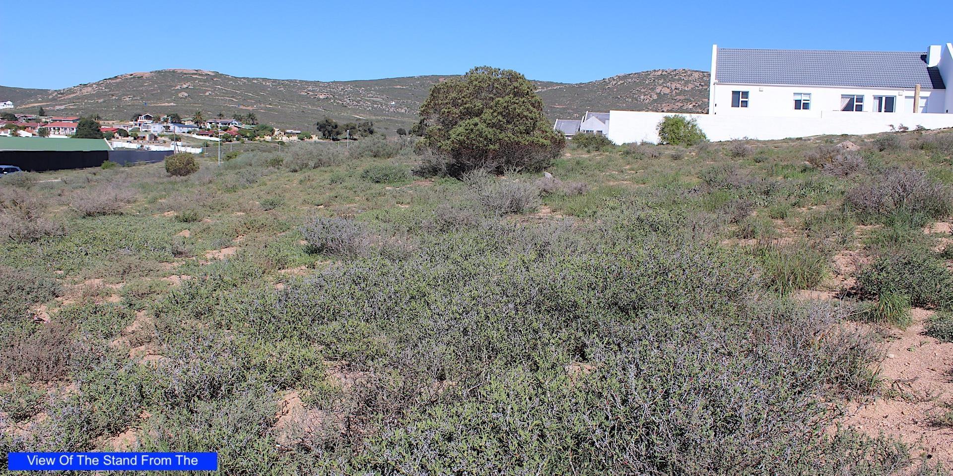 Image 3 of 6