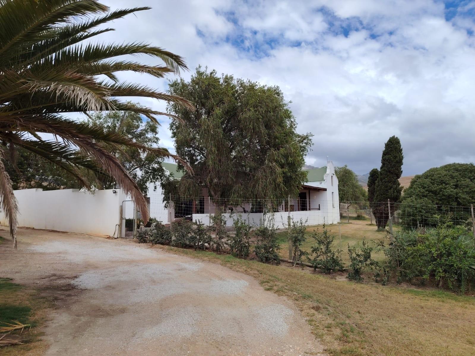 Image 30