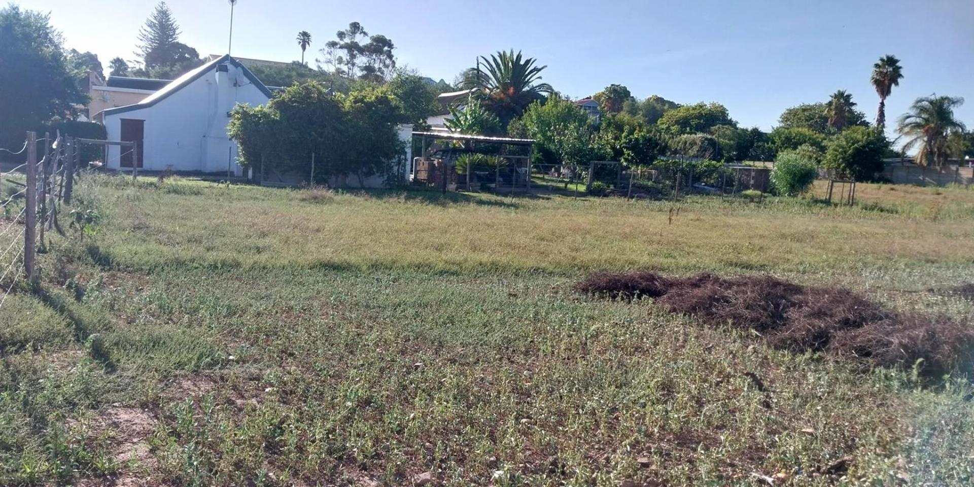 Image 2 of 6