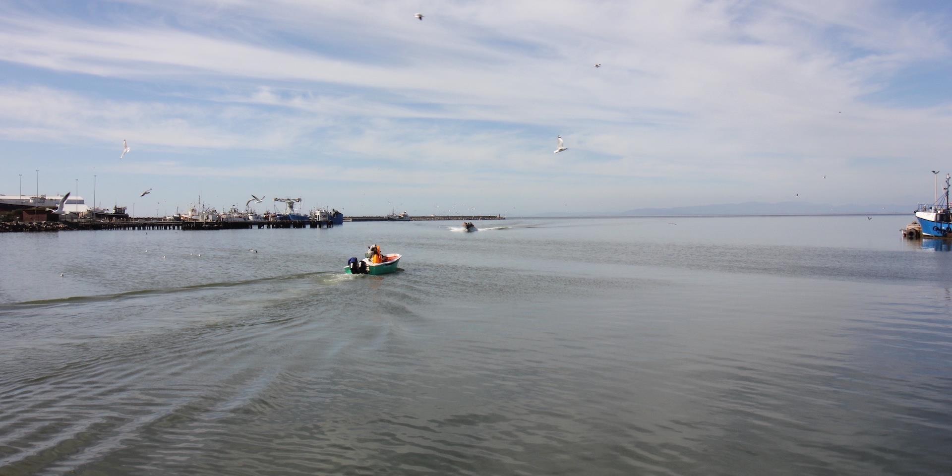Image 4 of 6