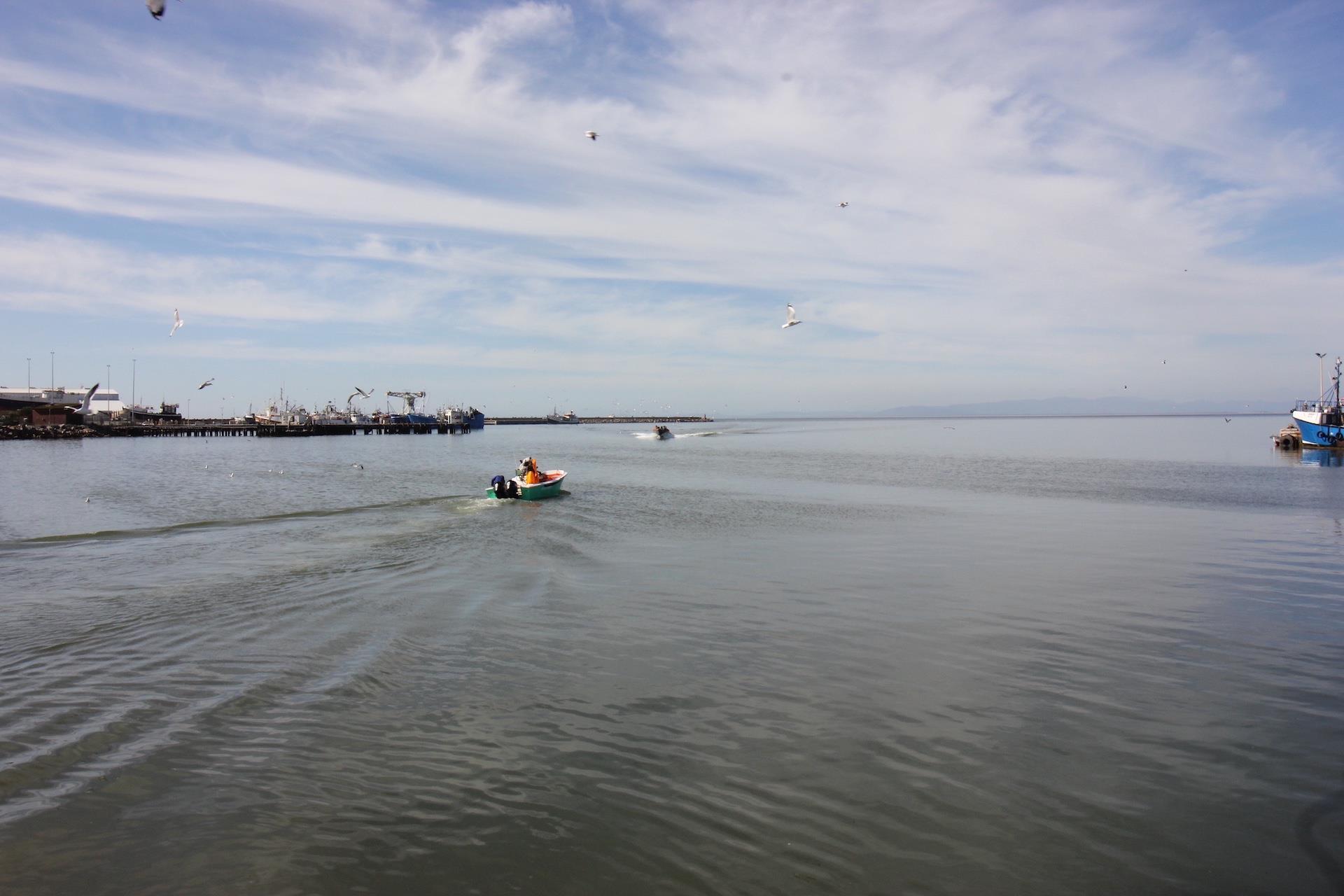 Image 4 of 6