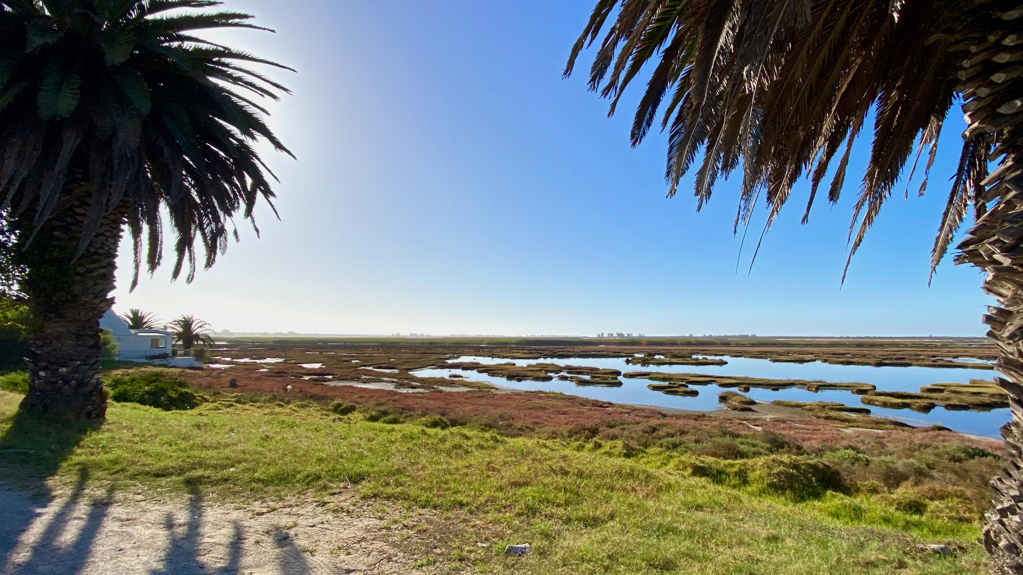 Image 3 of 6