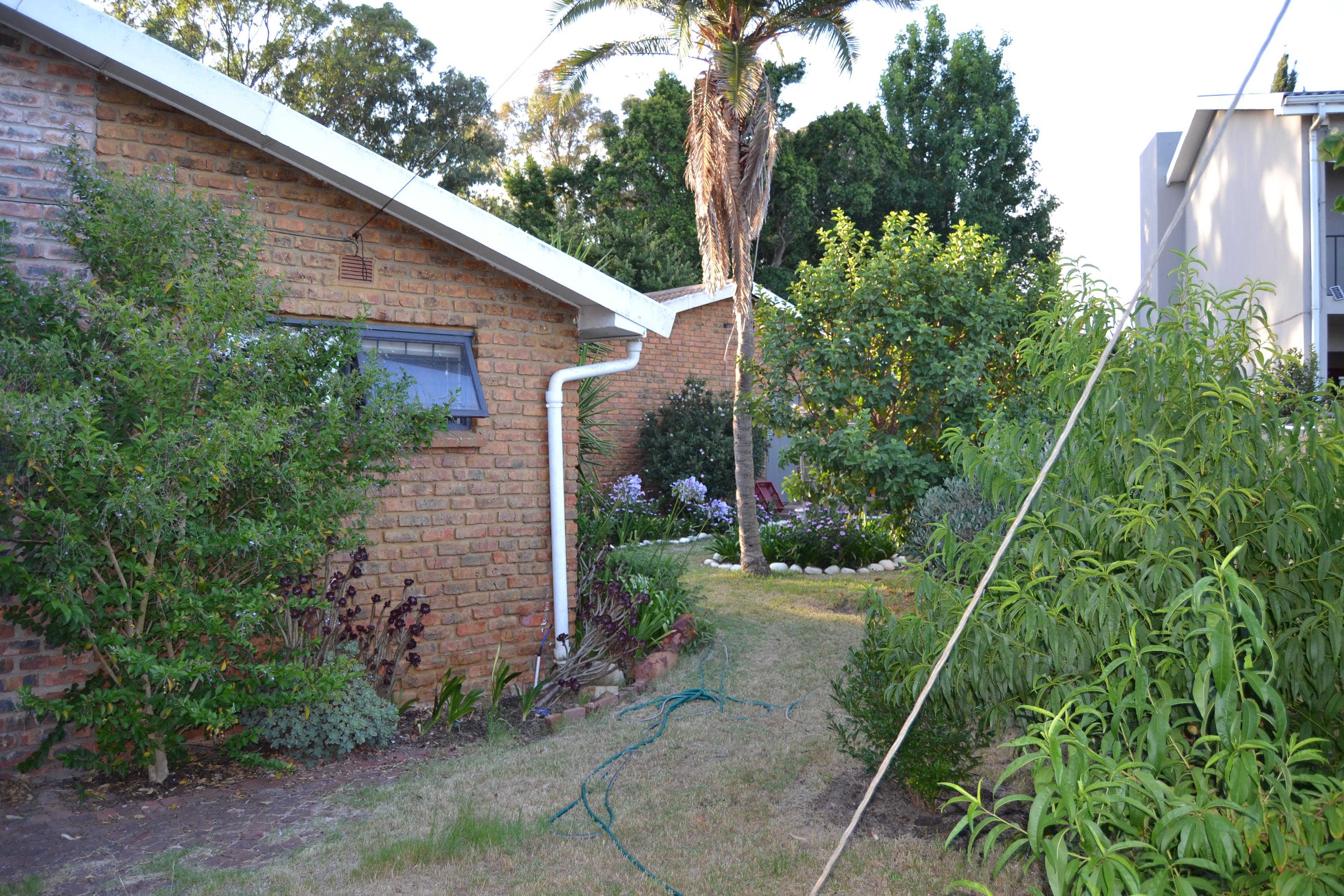 Image 66