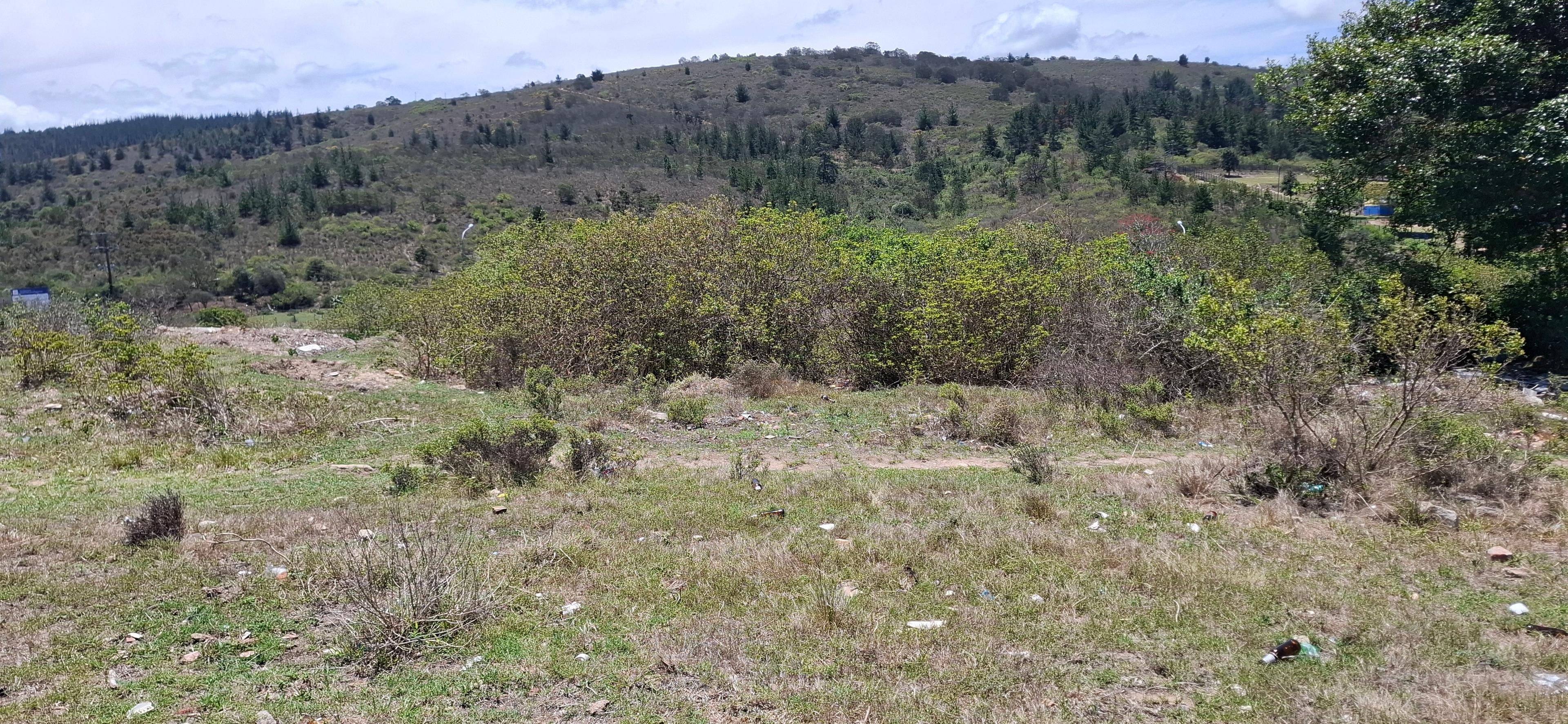 Image 5 of 6