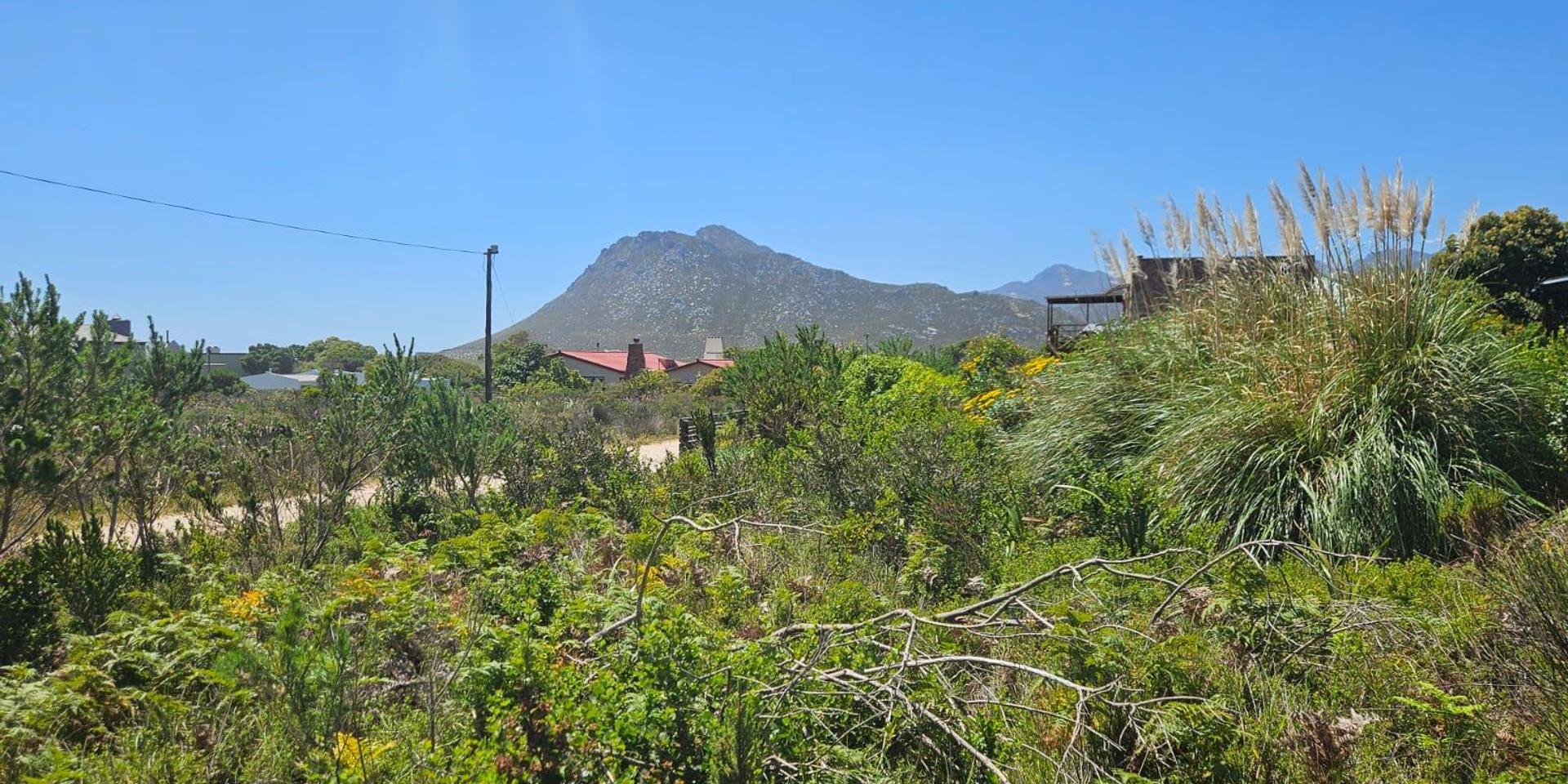 Image 3 of 6