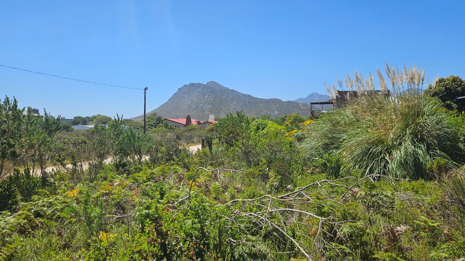 Image 3 of 6