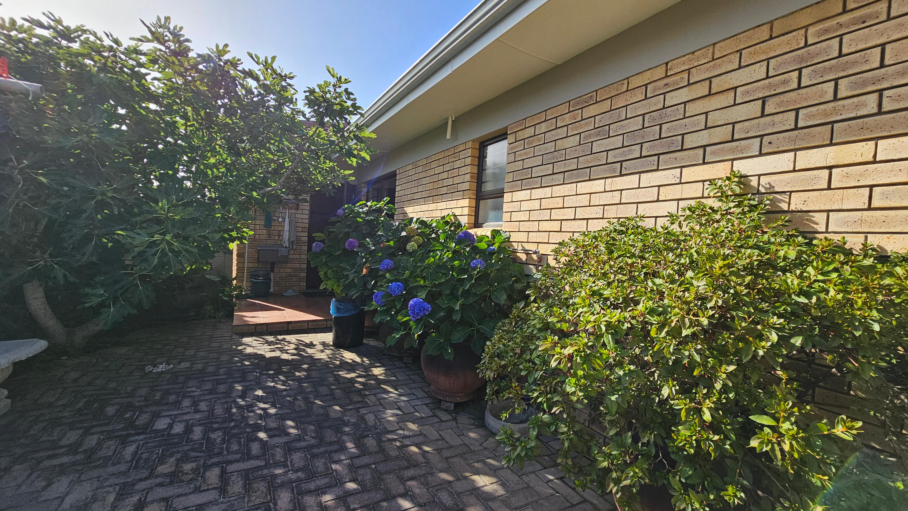 Image 22