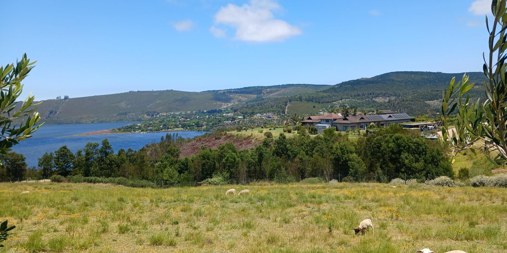 Image 2 of 6