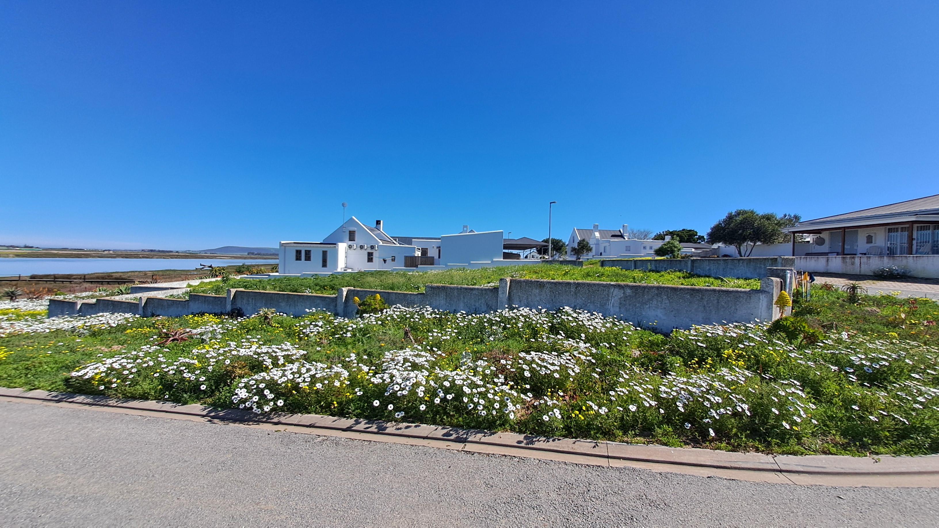 Image 31