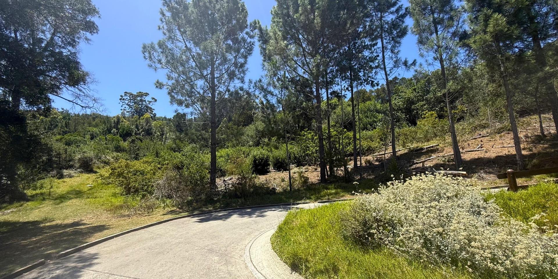 Image 5 of 6