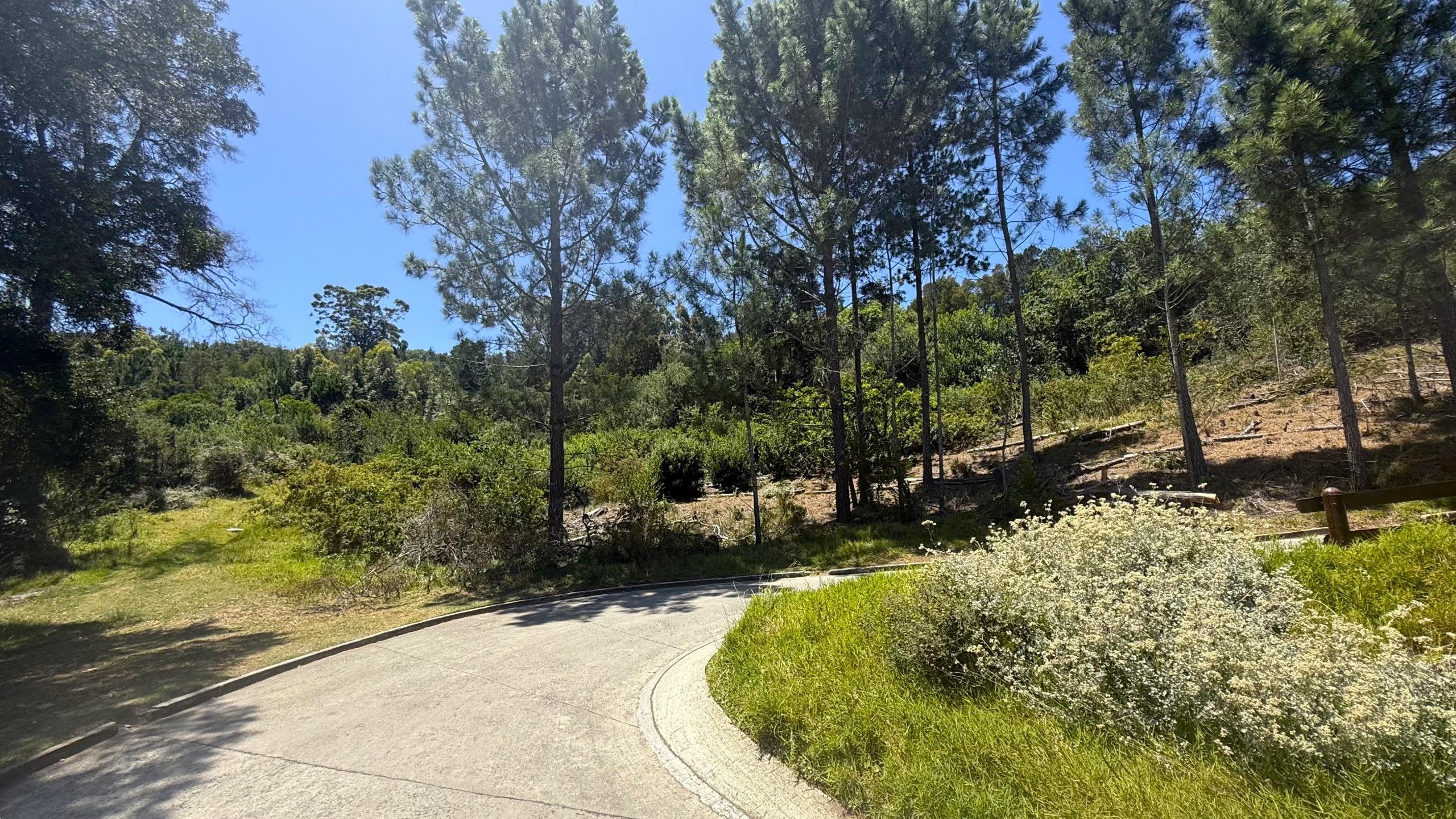 Image 5 of 6