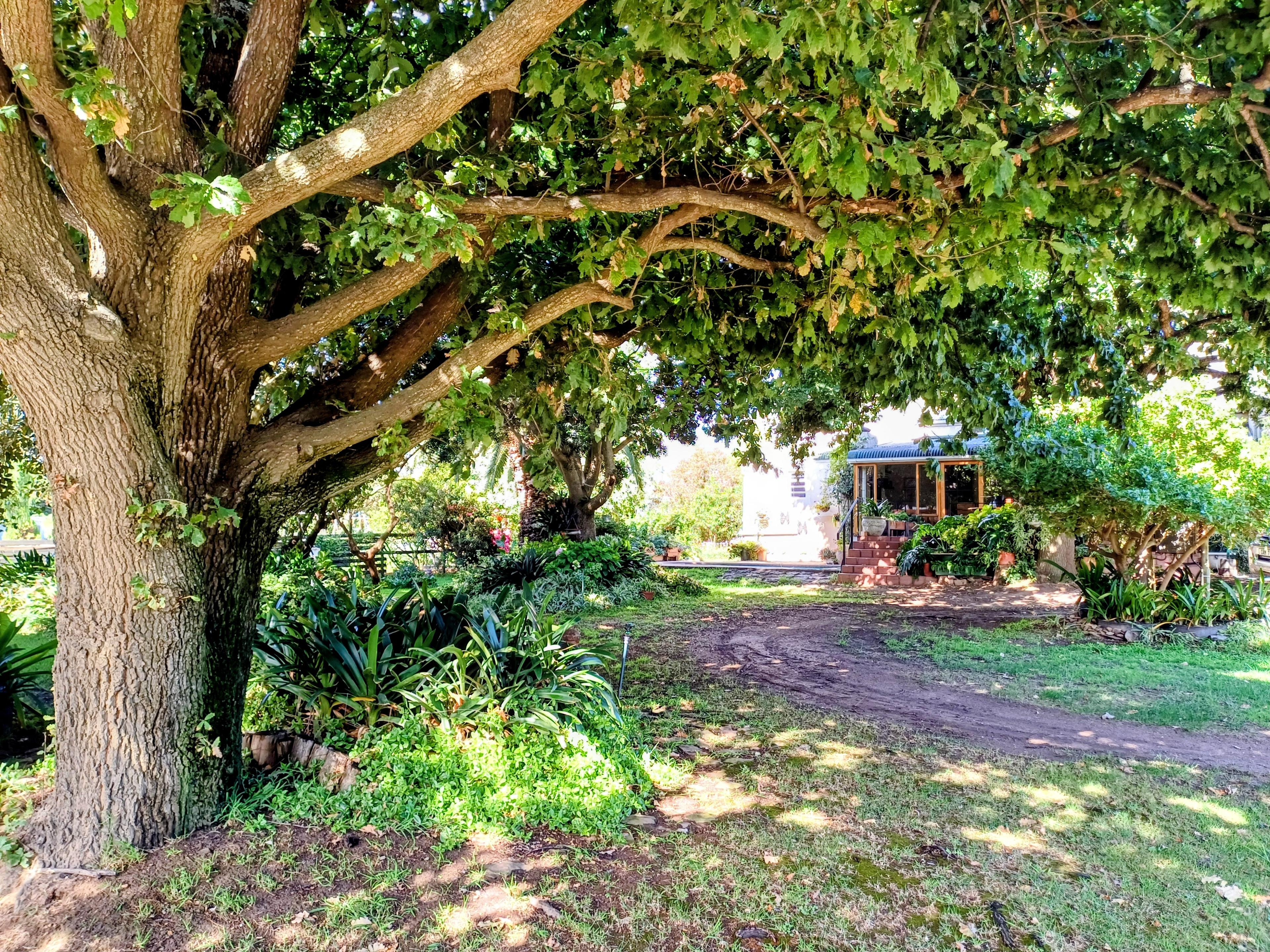 Image 5 of 6