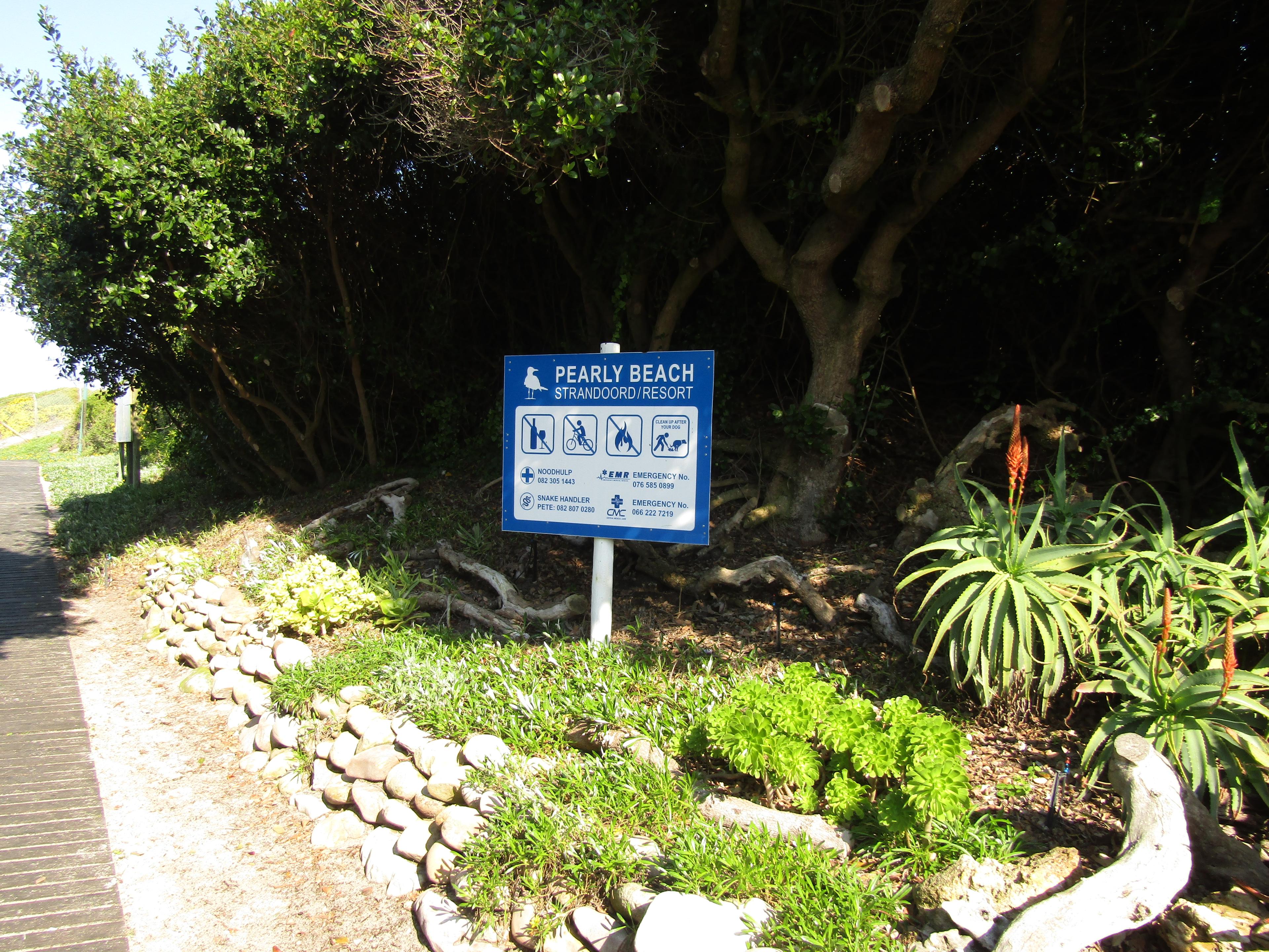 Image 17