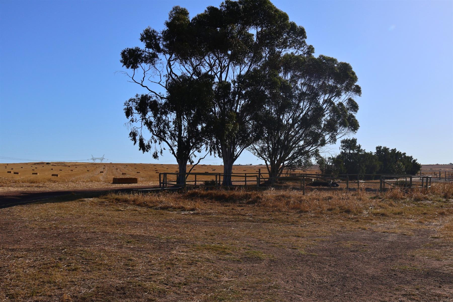 Image 60