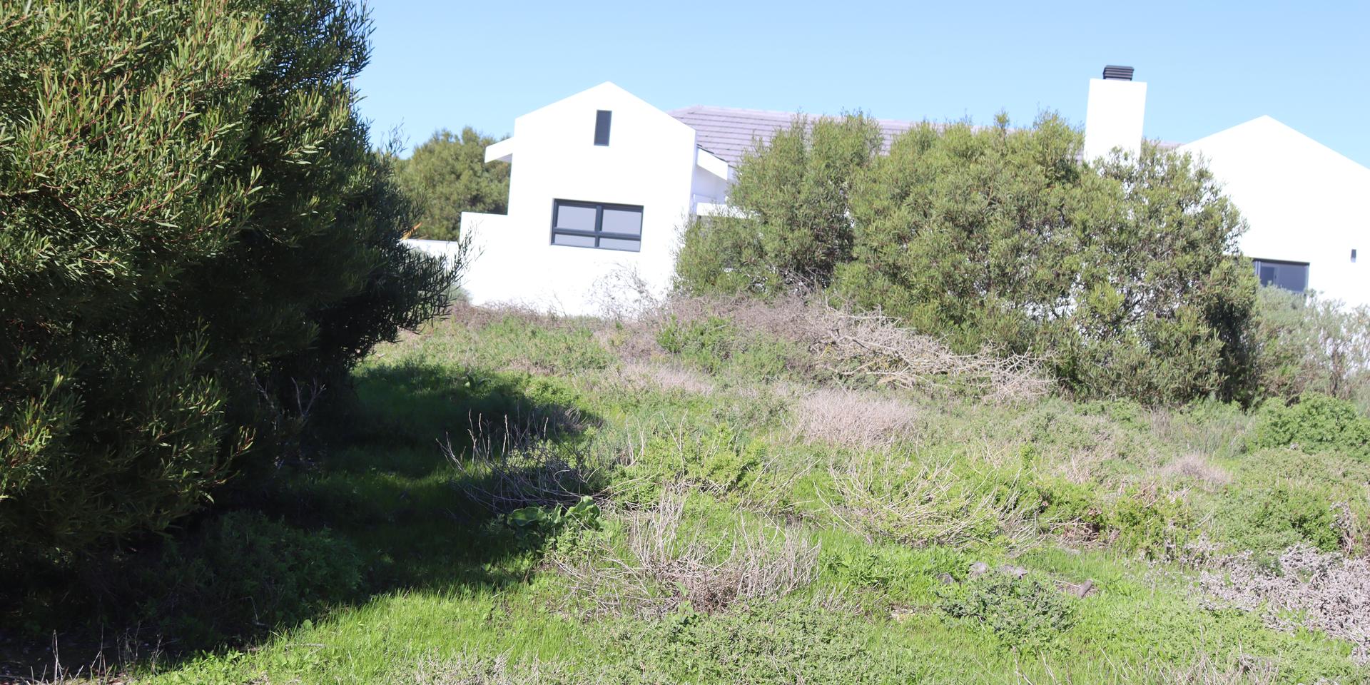 Image 4 of 6