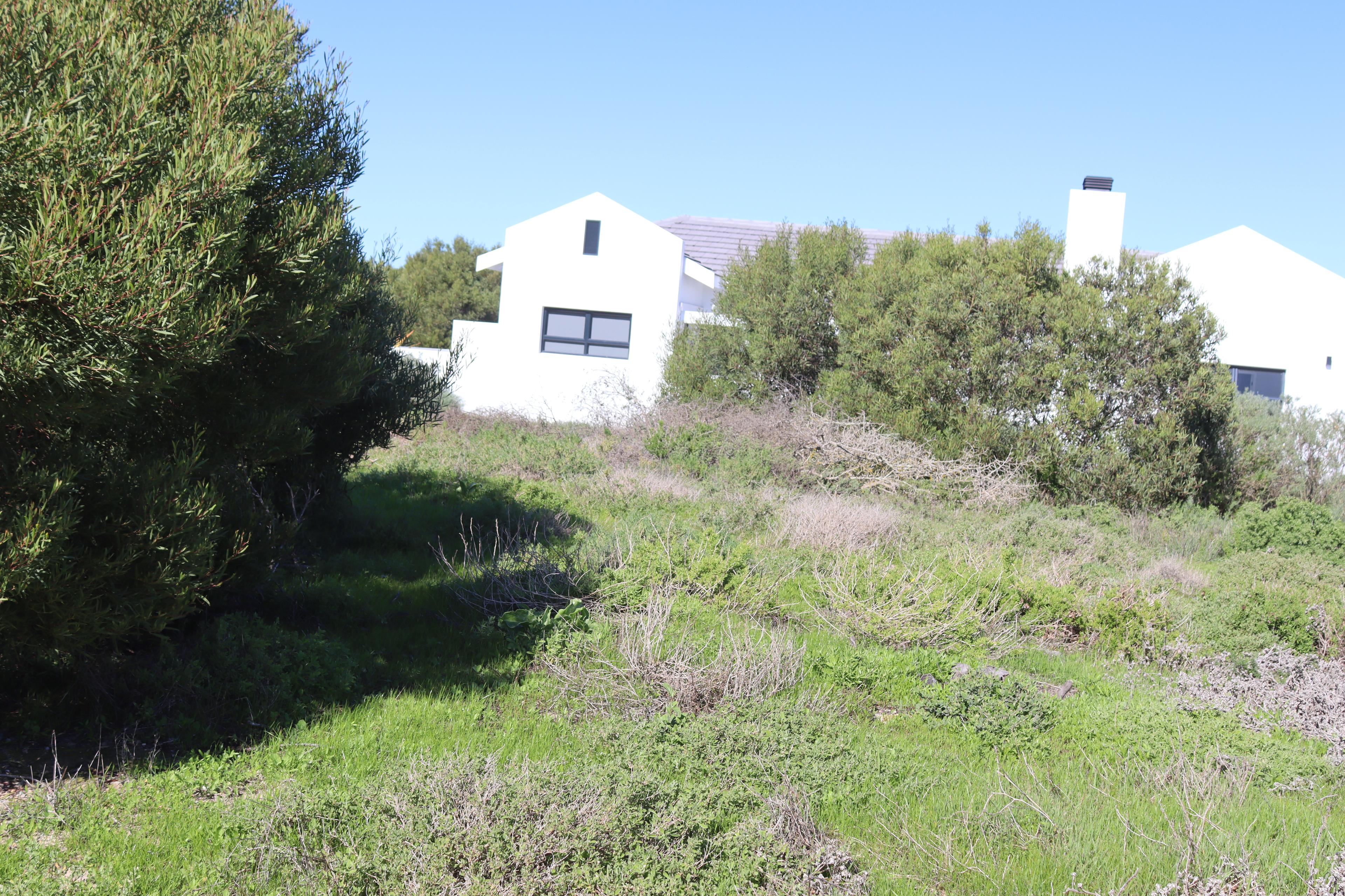 Image 4 of 6