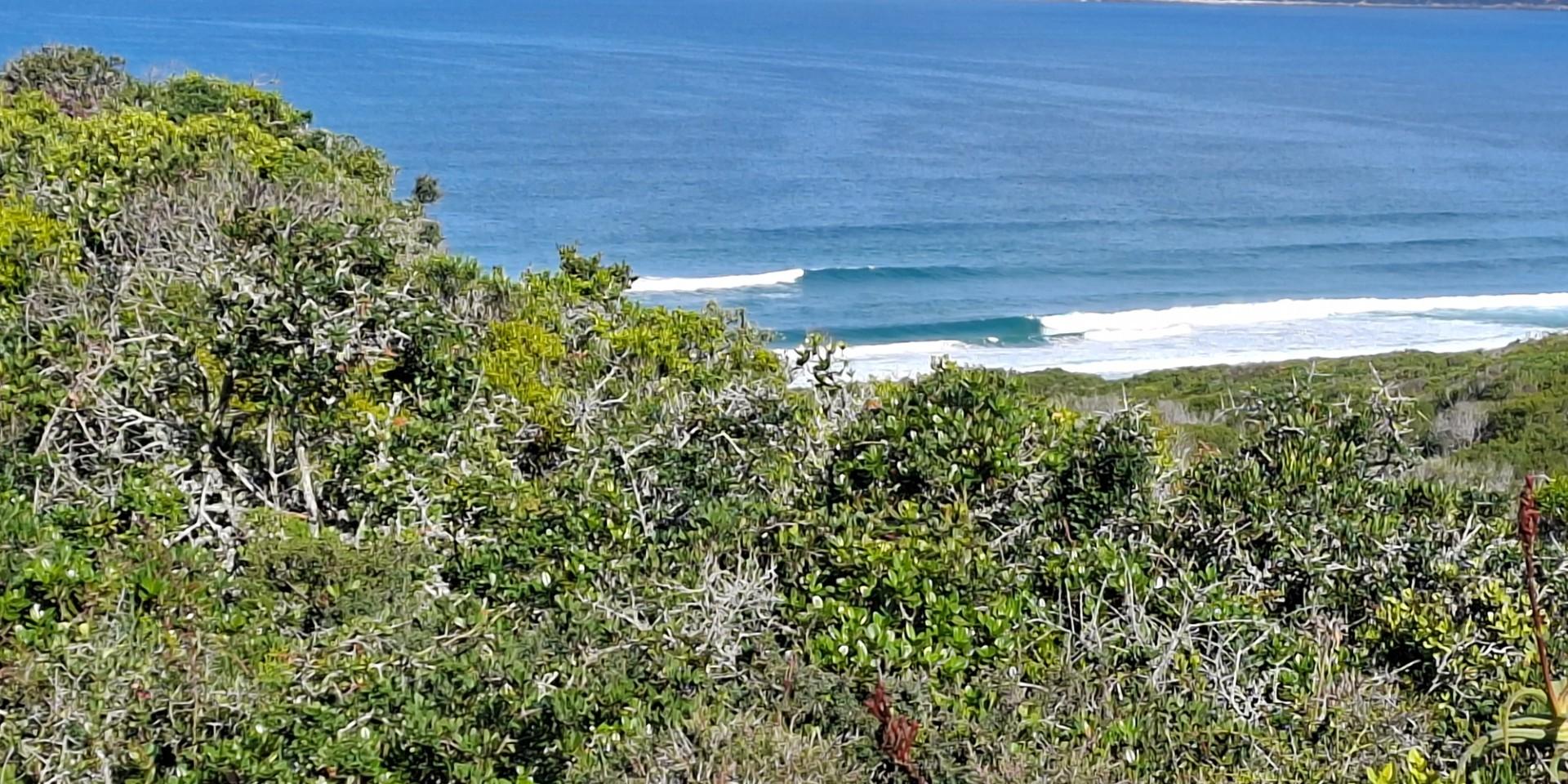 Image 5 of 6