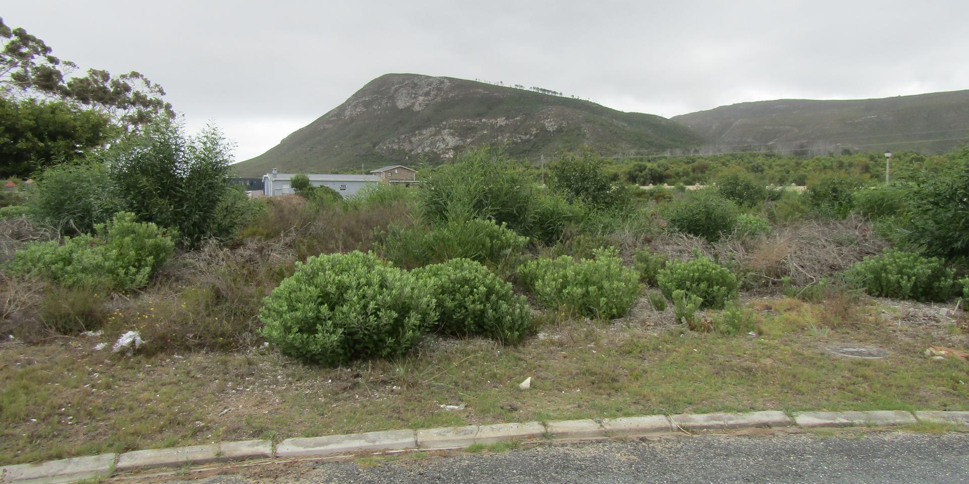 Image 2 of 6