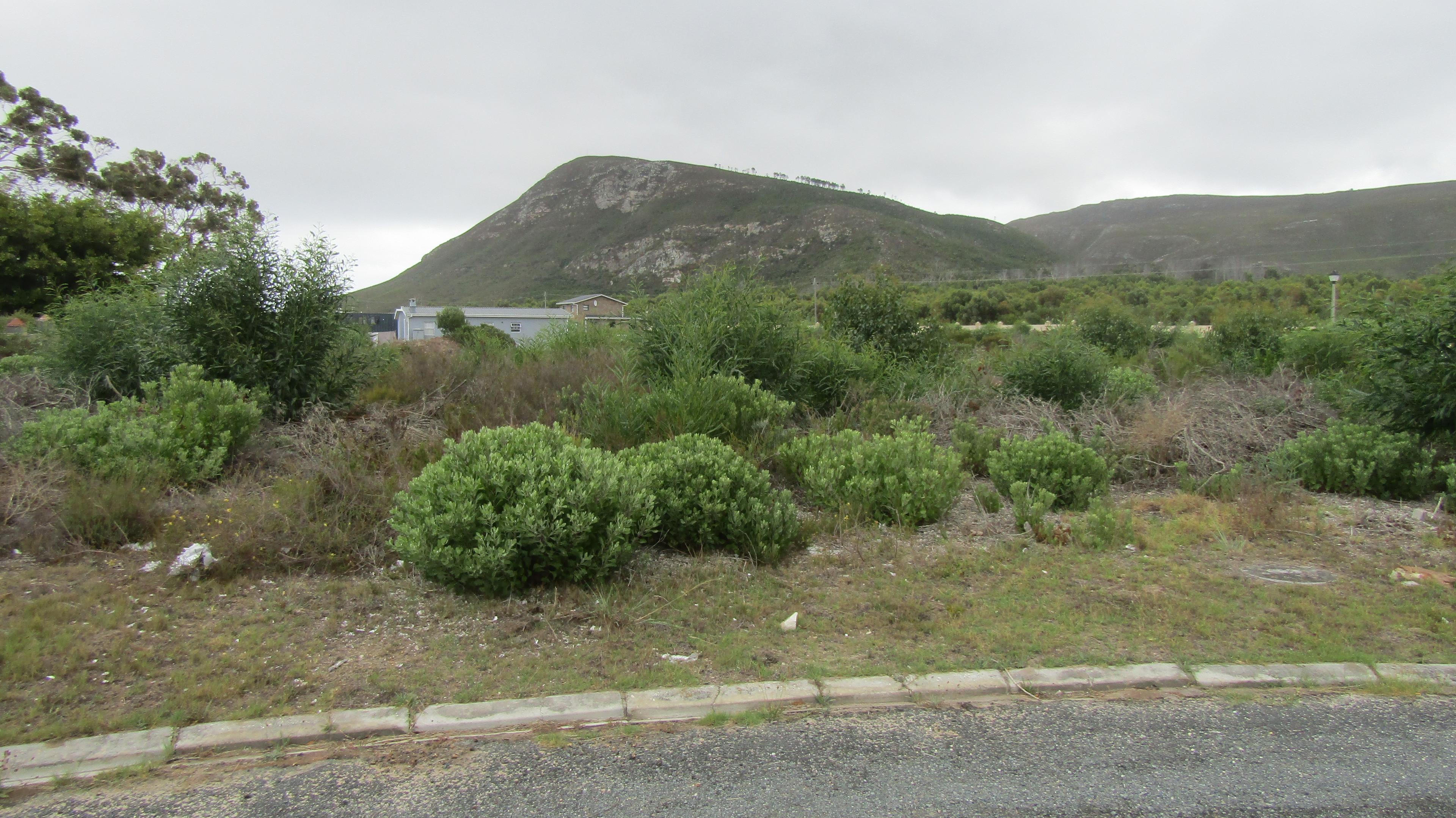 Image 4 of 6