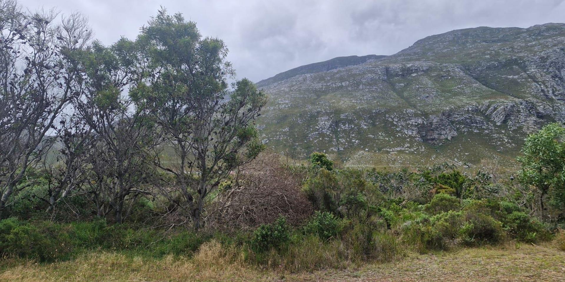 Image 4 of 6