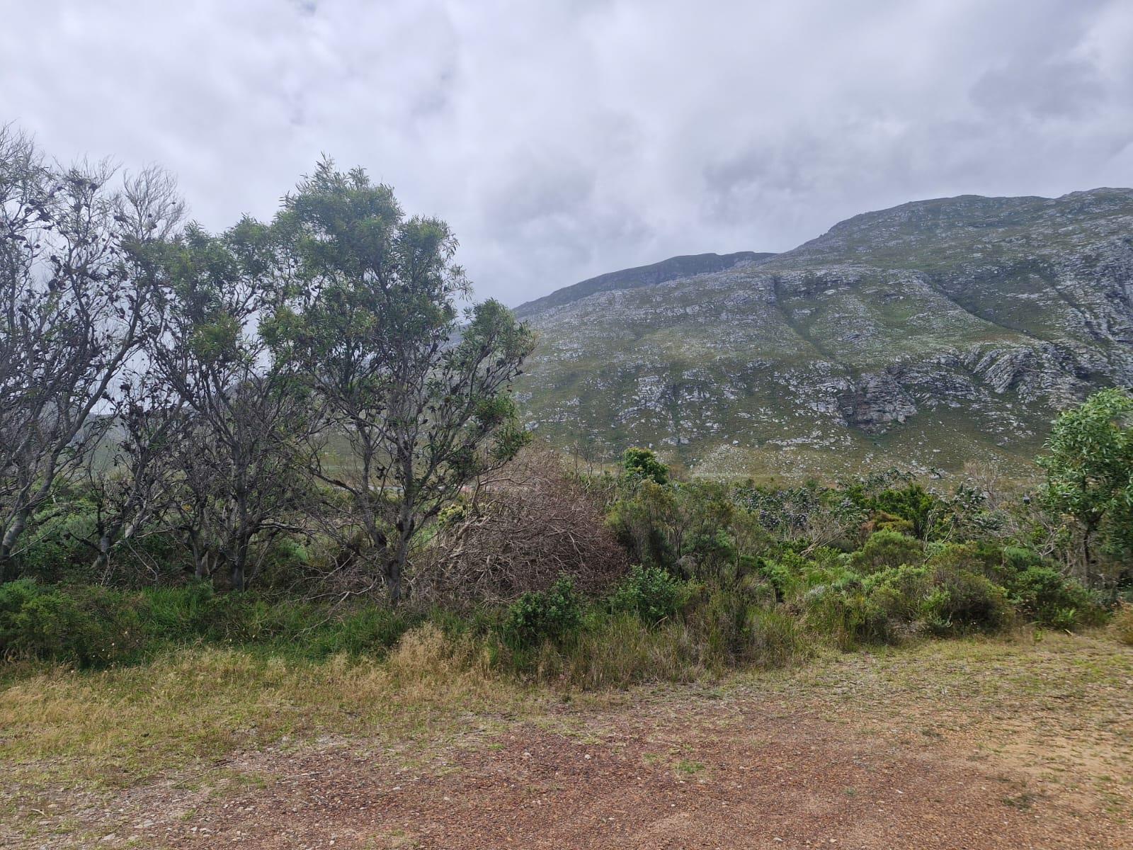 Image 4 of 6