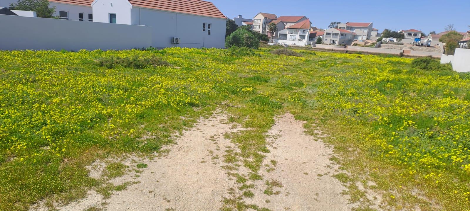 Image 15