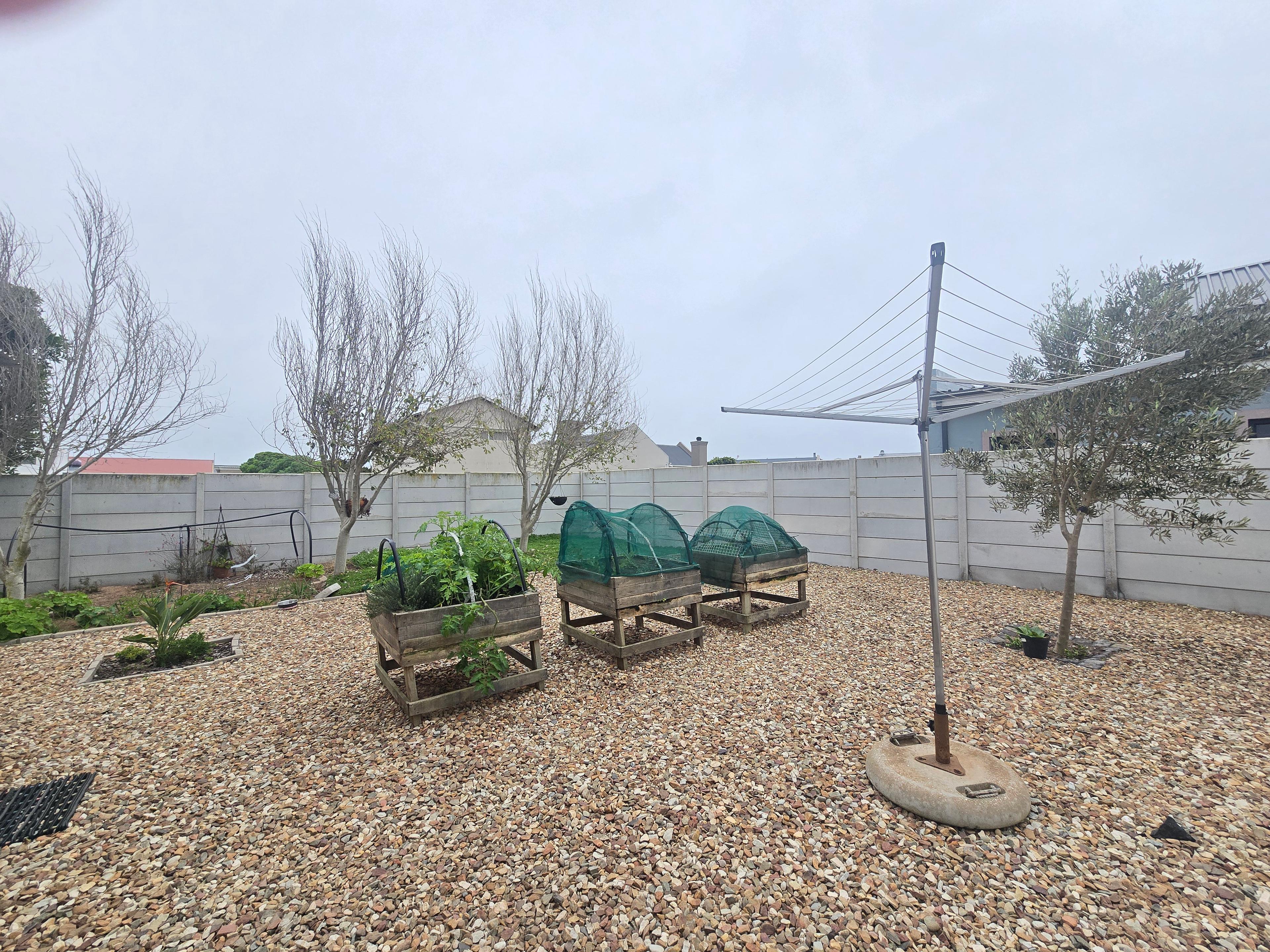 Image 36