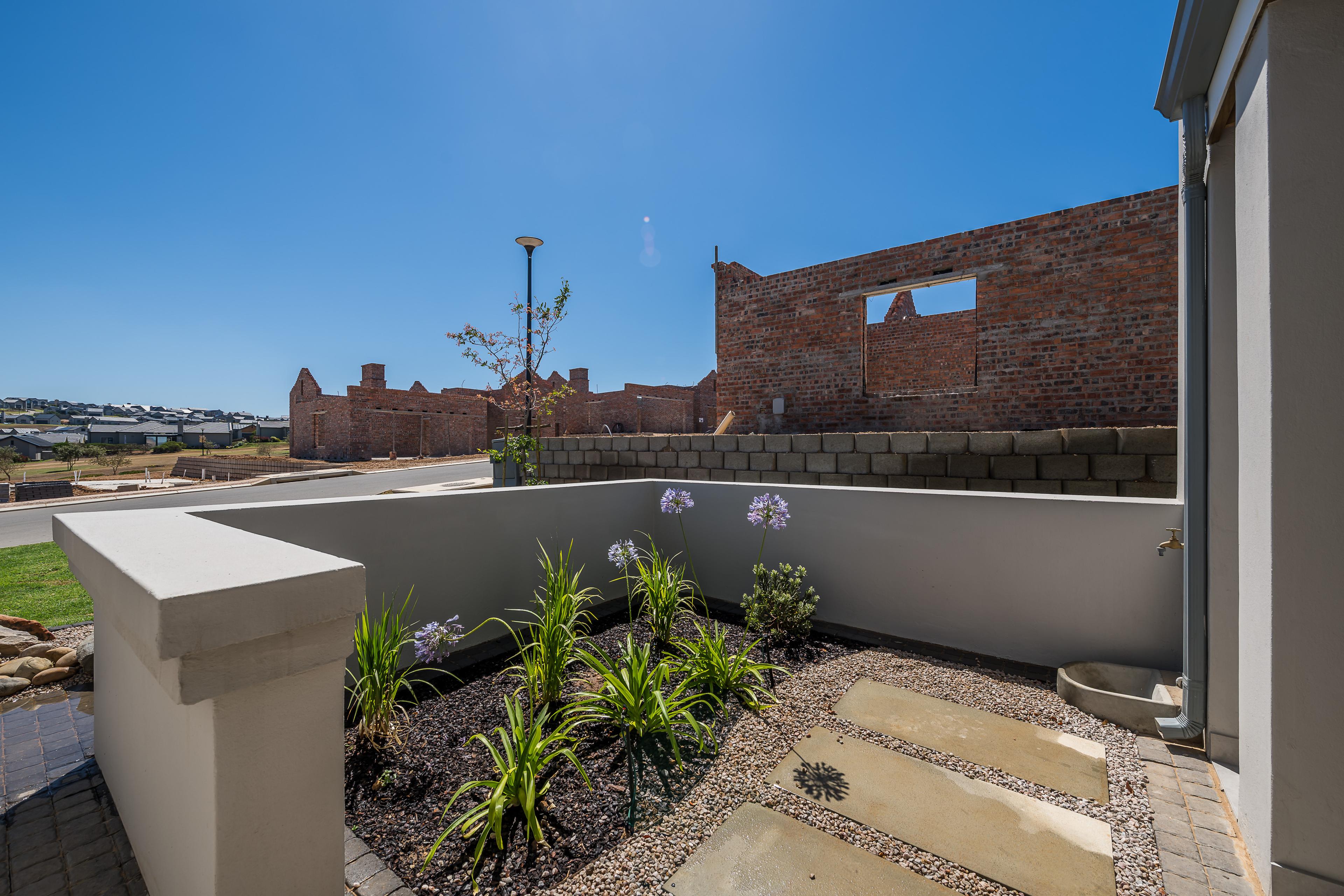 Image 15
