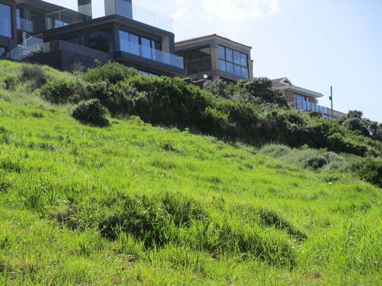 Main property image