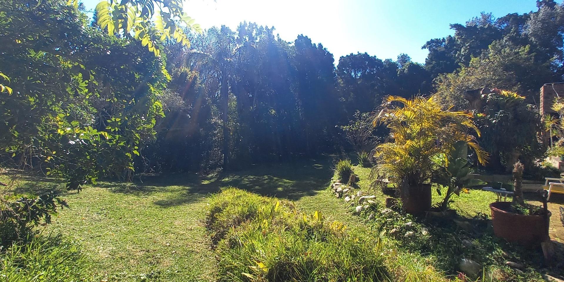 Image 4 of 6