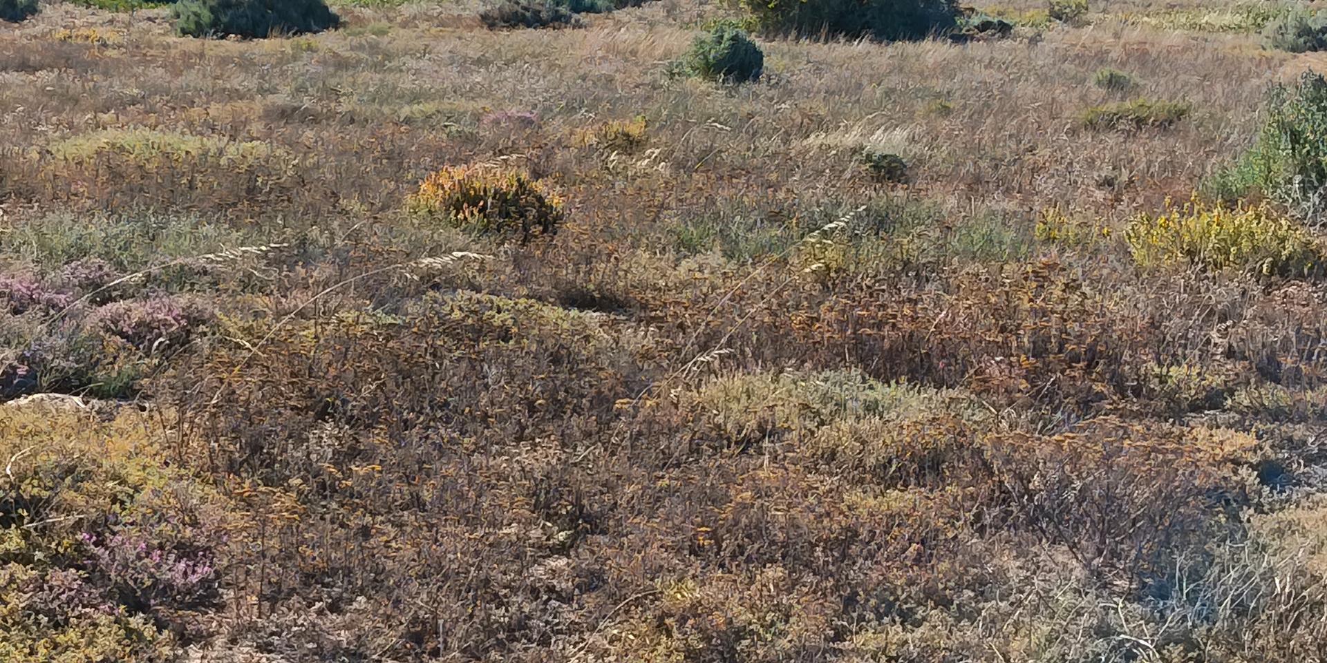 Image 3 of 6
