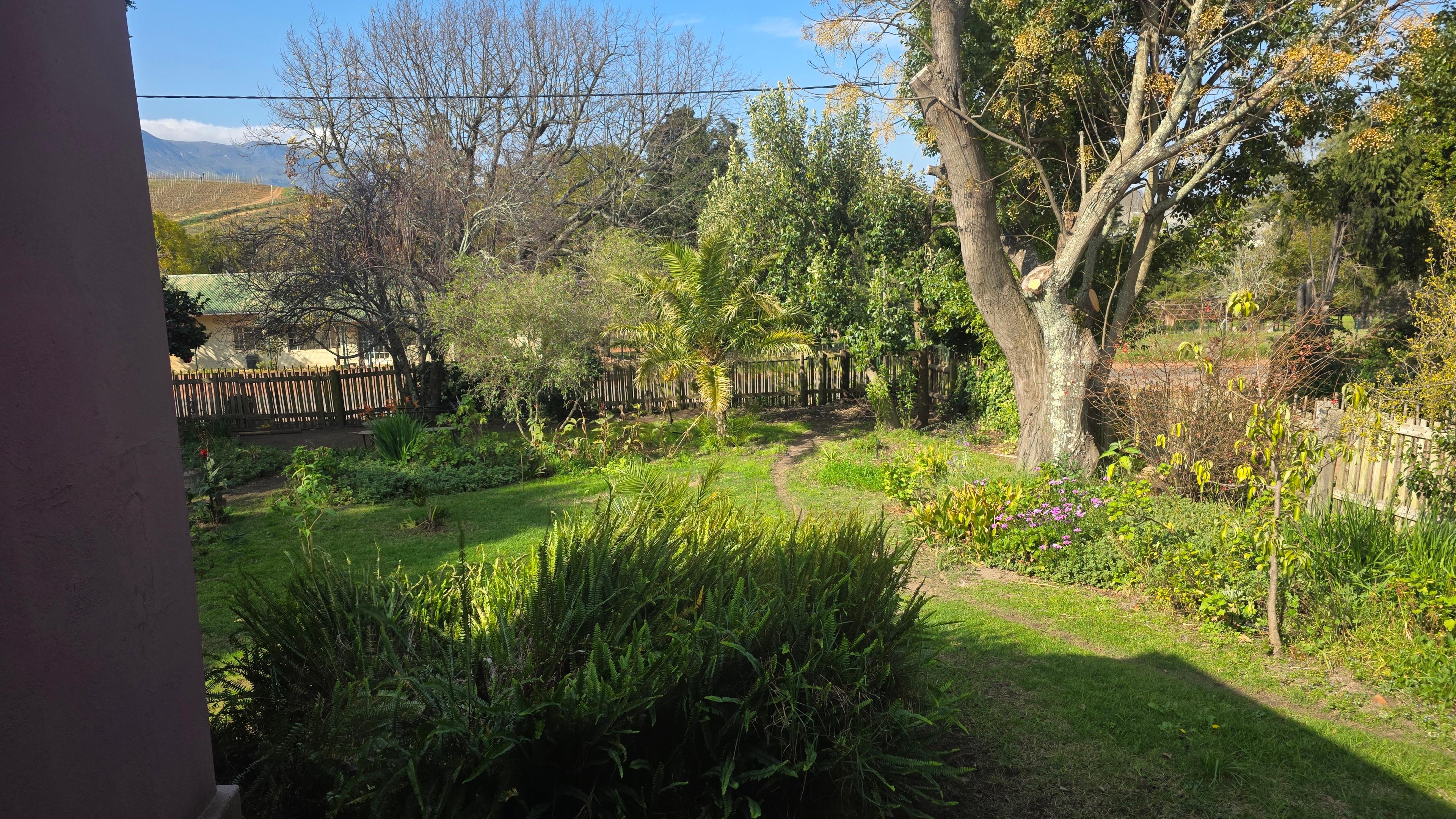 Image 12