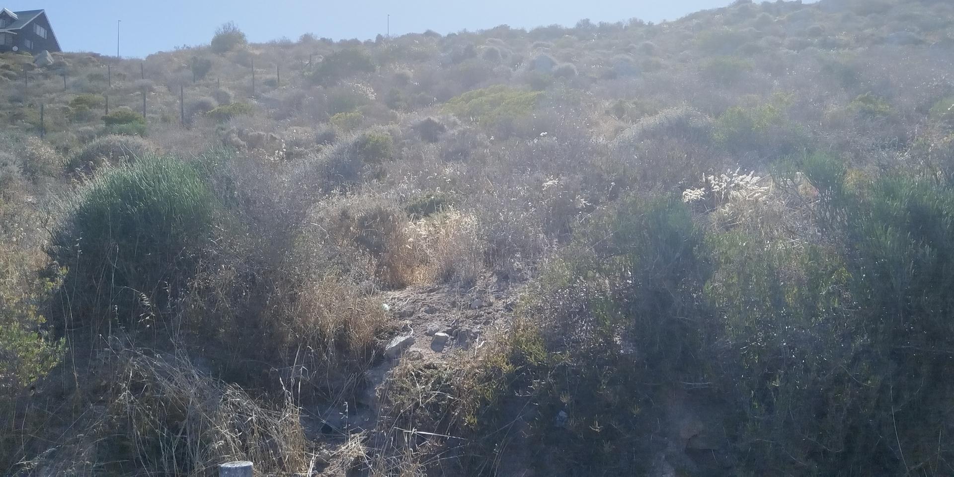 Image 5 of 6