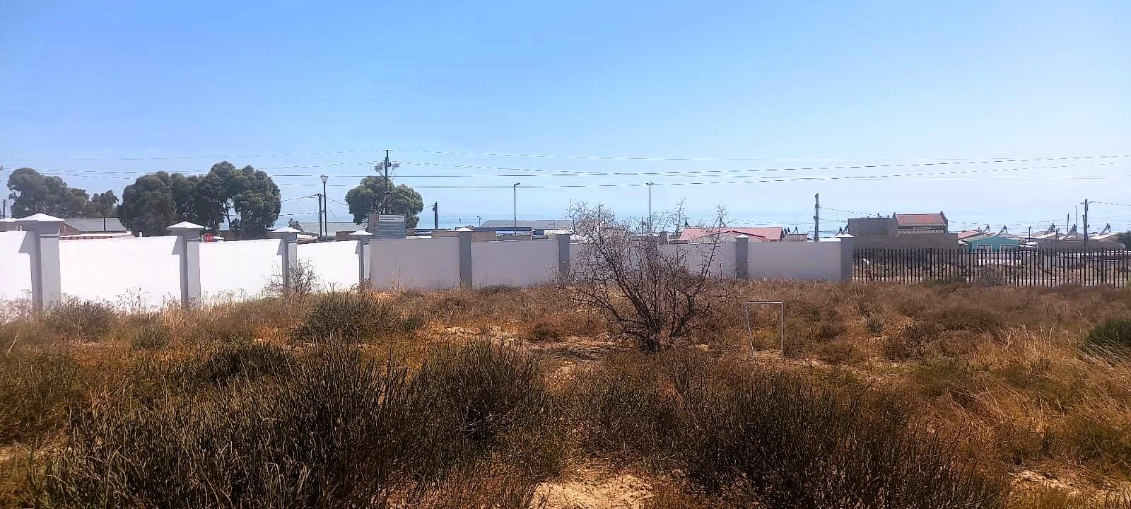 Image 8