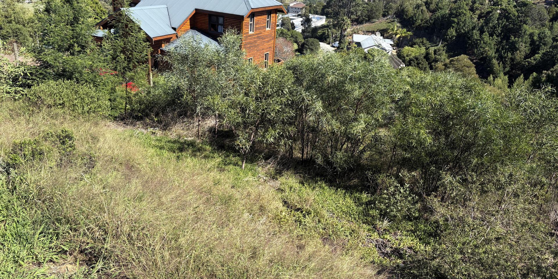 Image 5 of 6