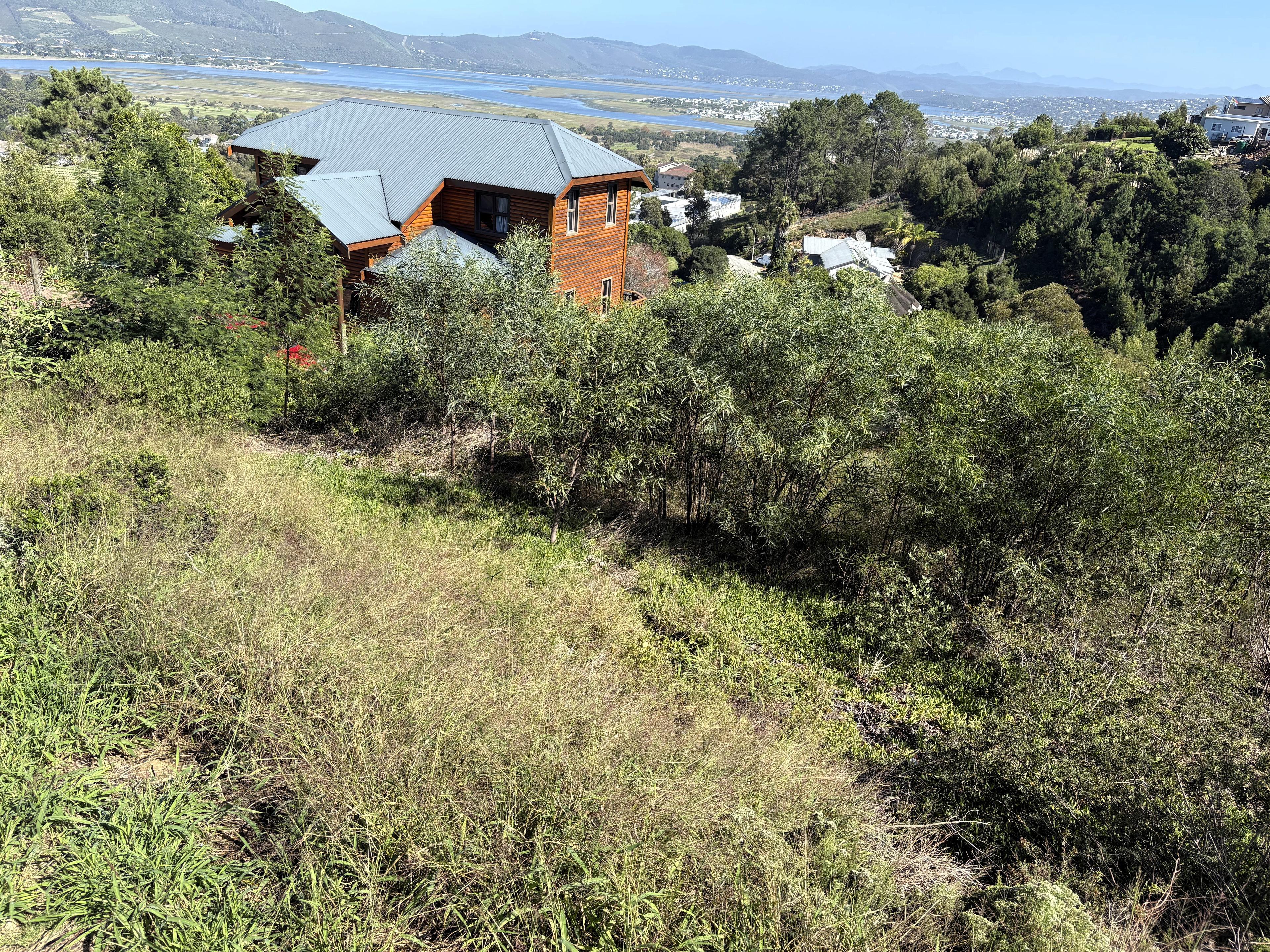 Image 5 of 6