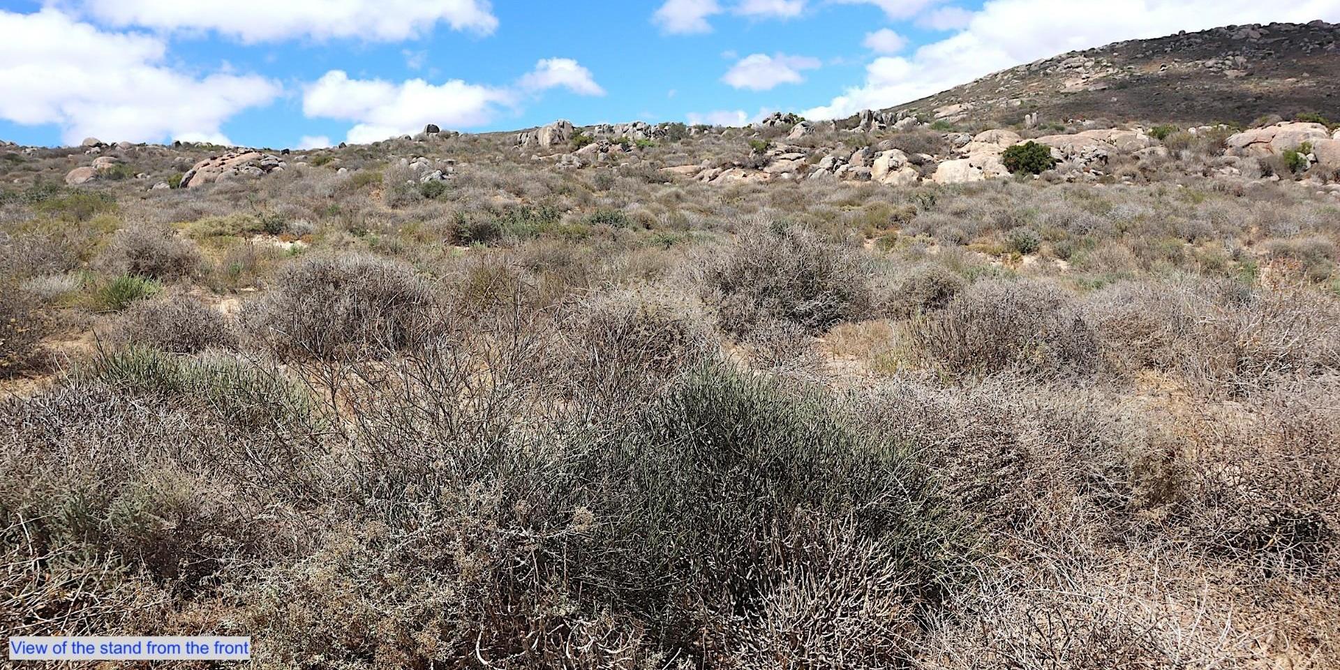 Image 3 of 6