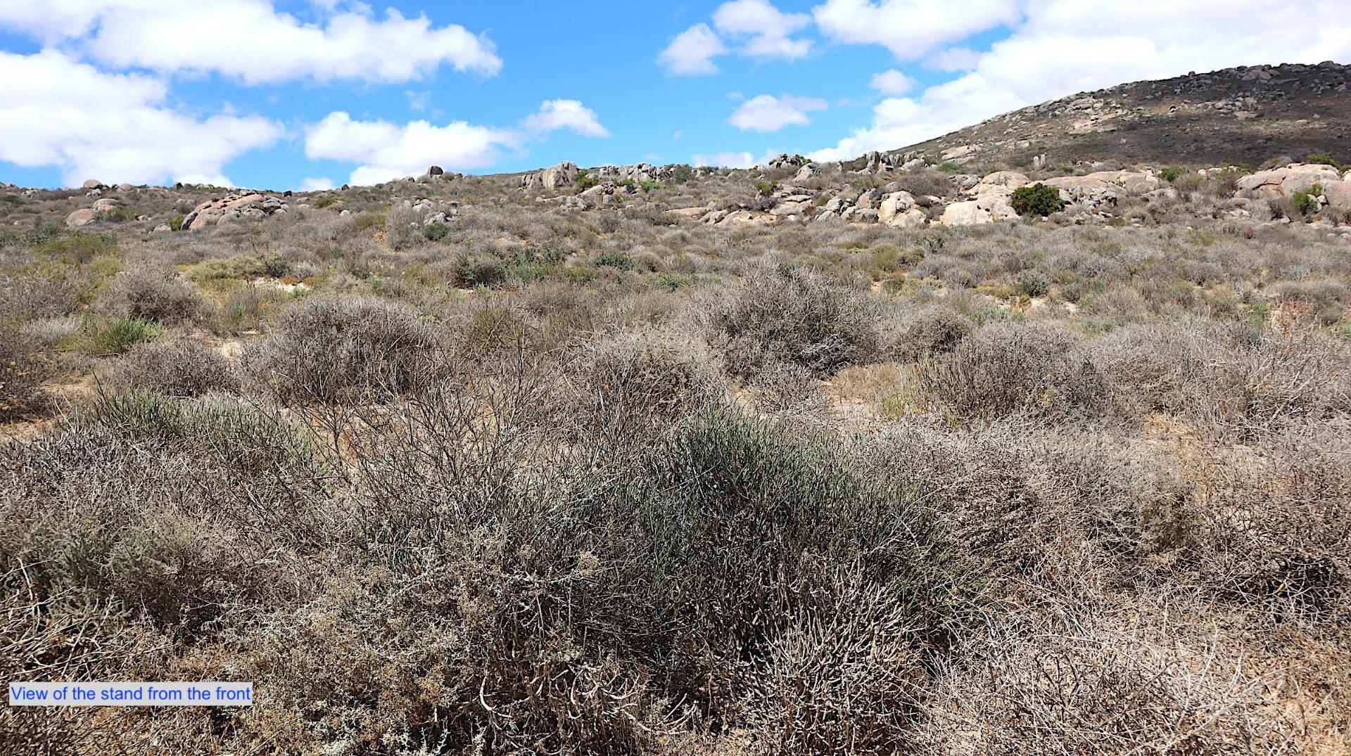Image 3 of 6