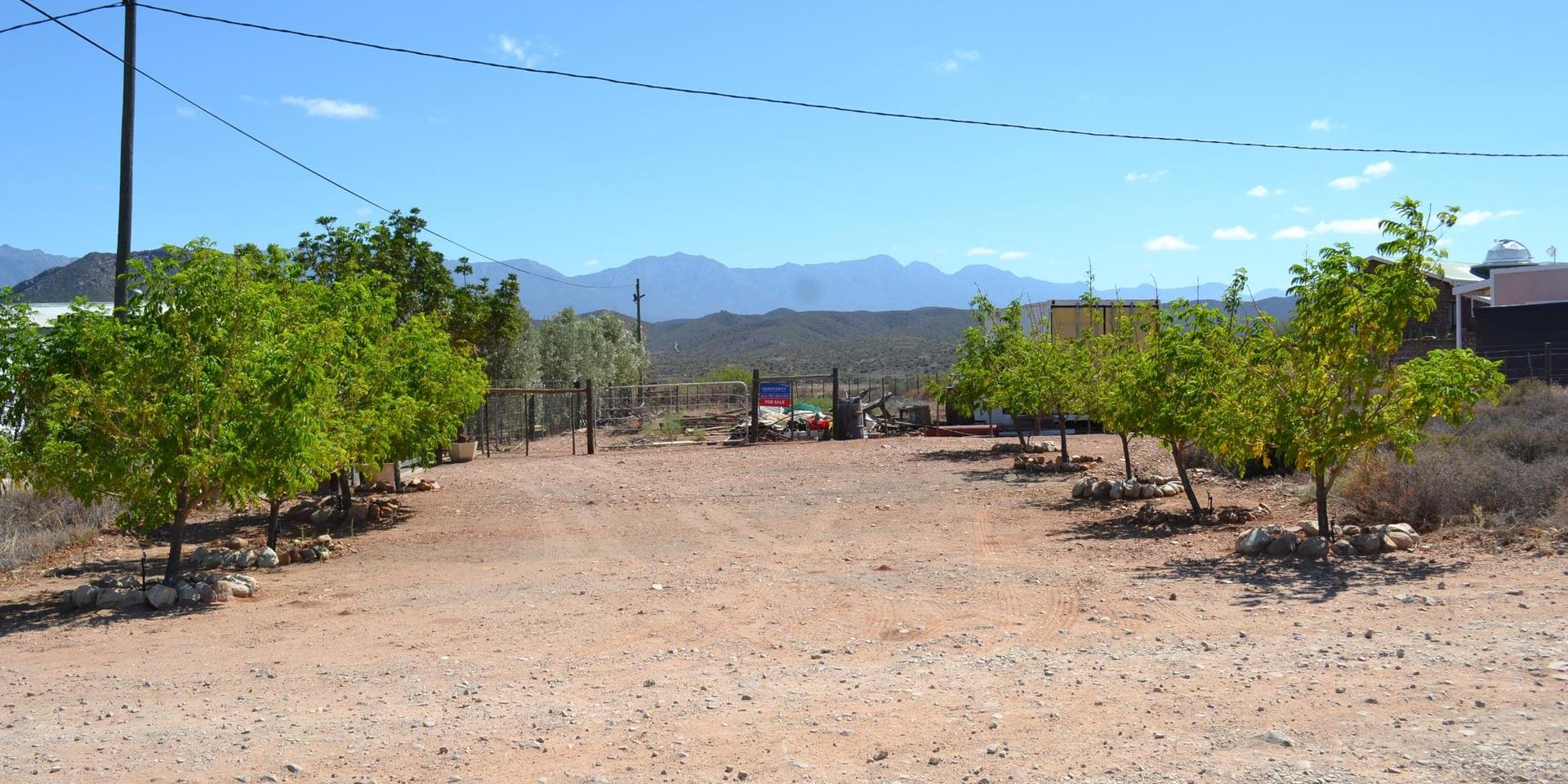 Image 3 of 6