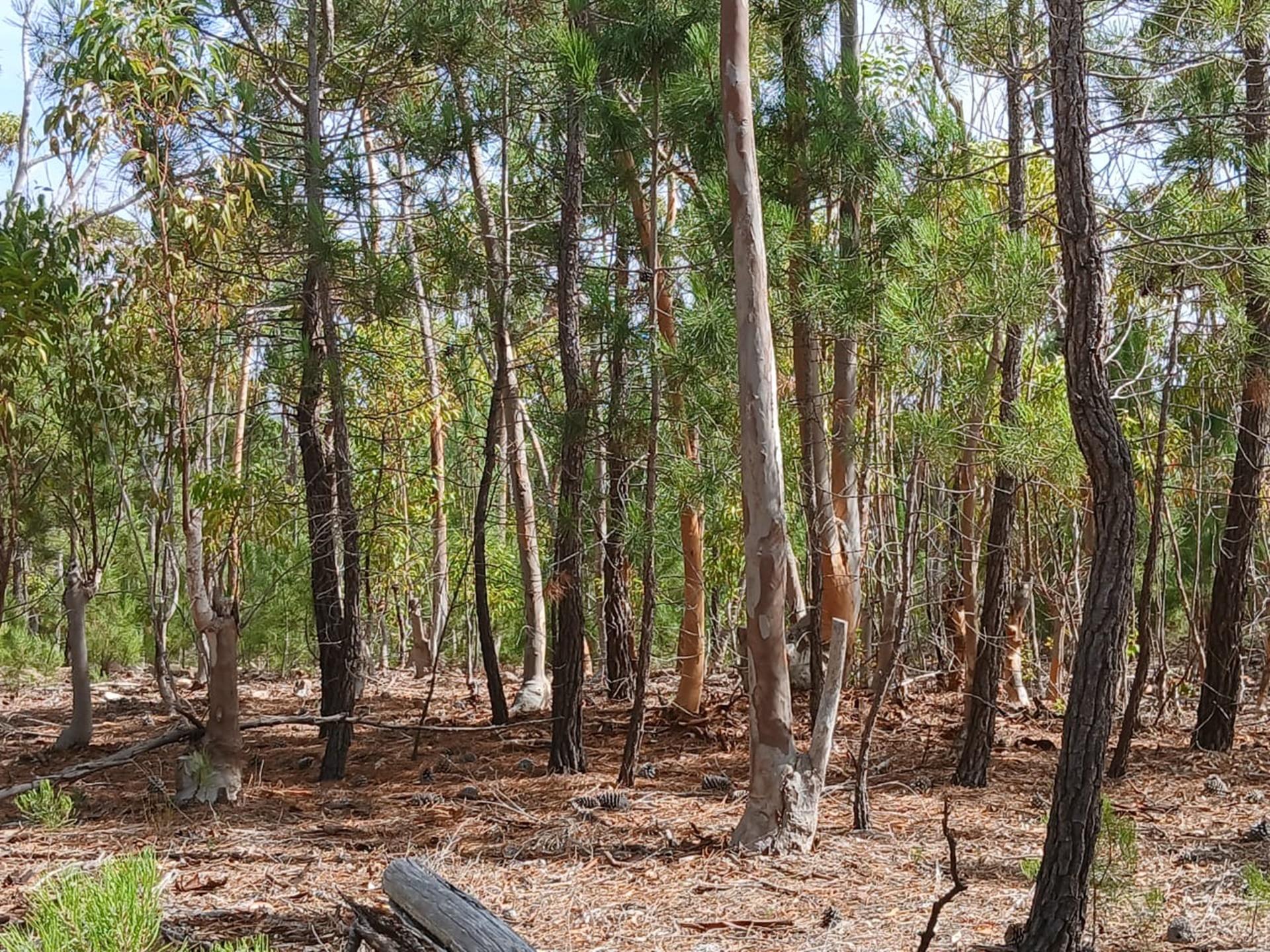 Image 8